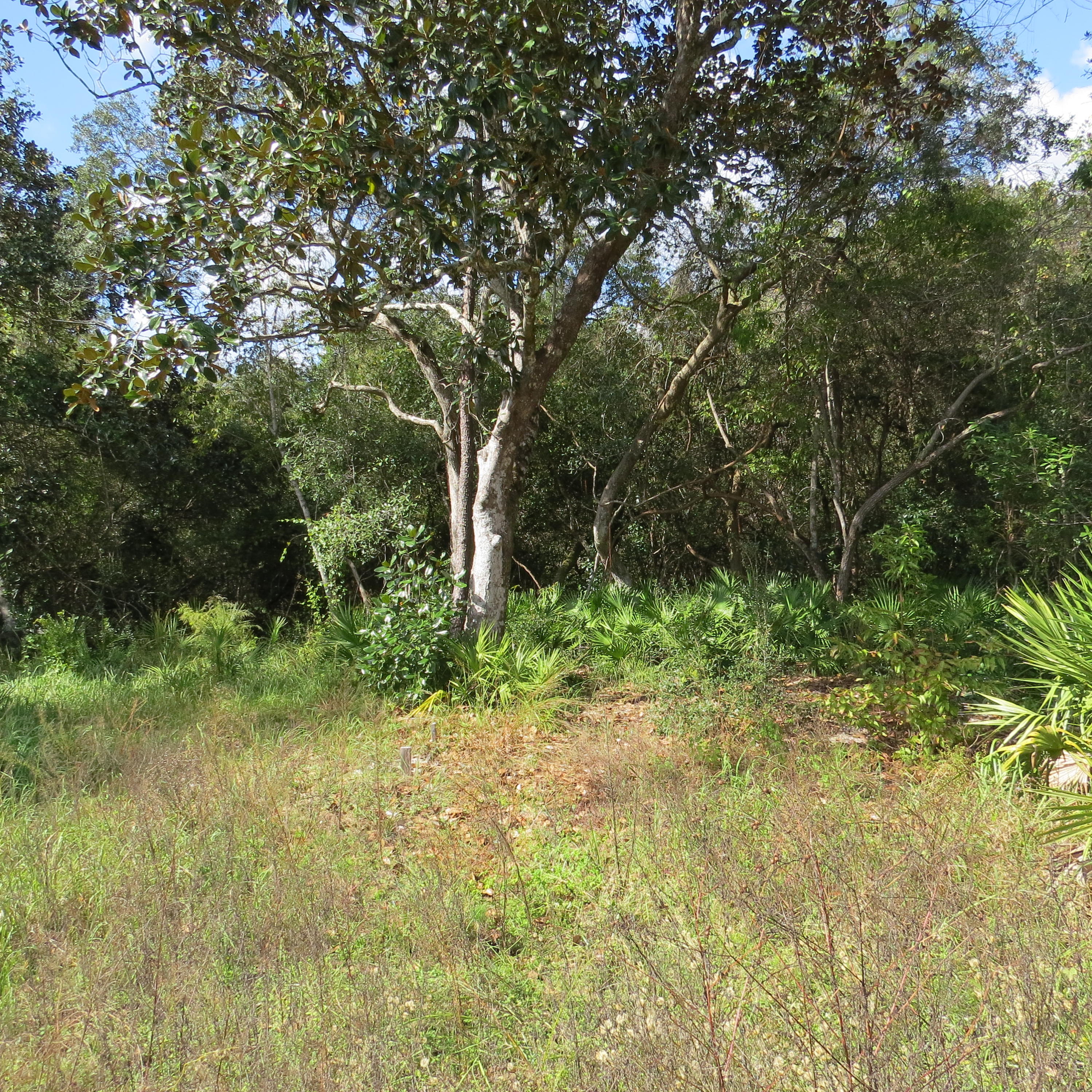 EDEN ESTATES UNREC - Land