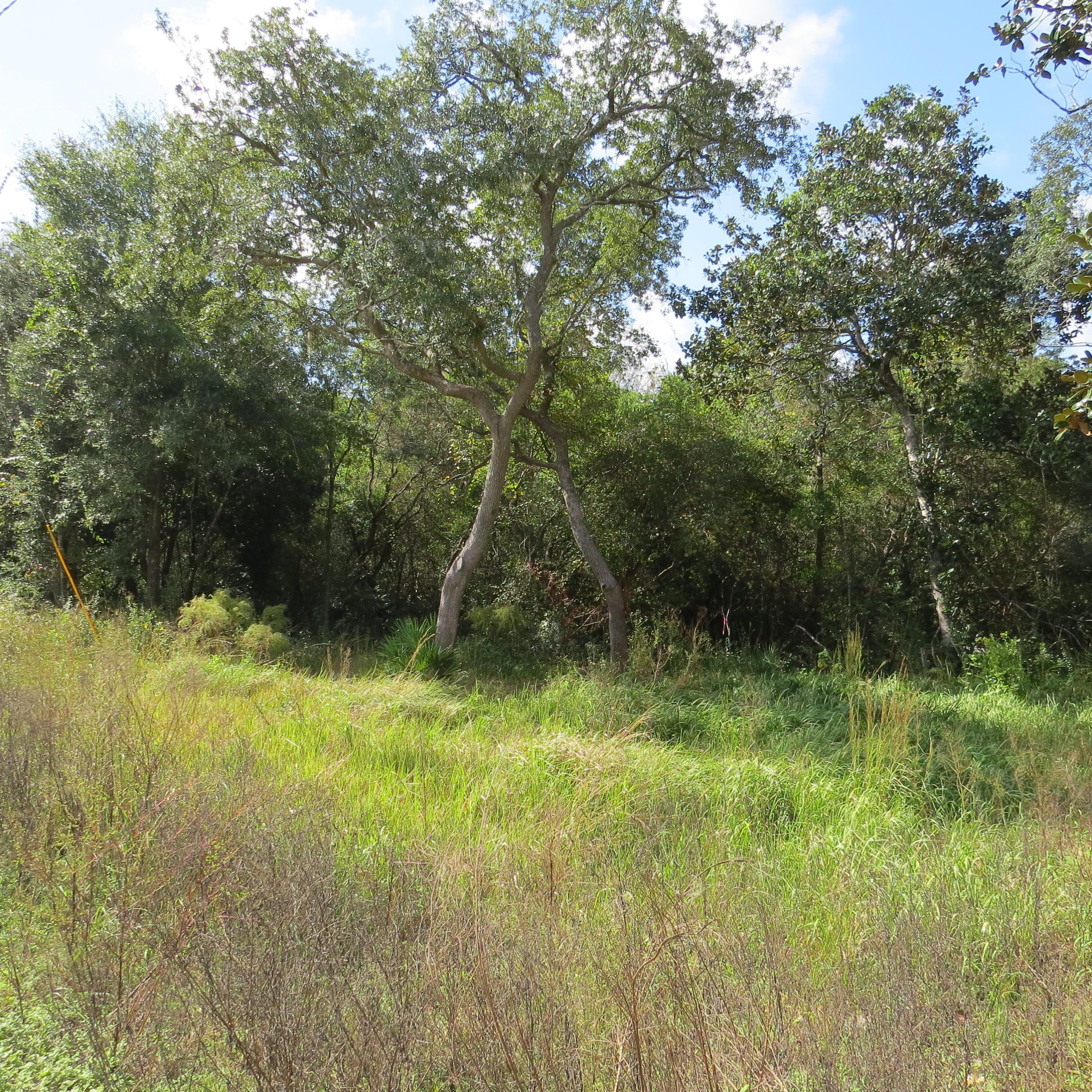 EDEN ESTATES UNREC - Land