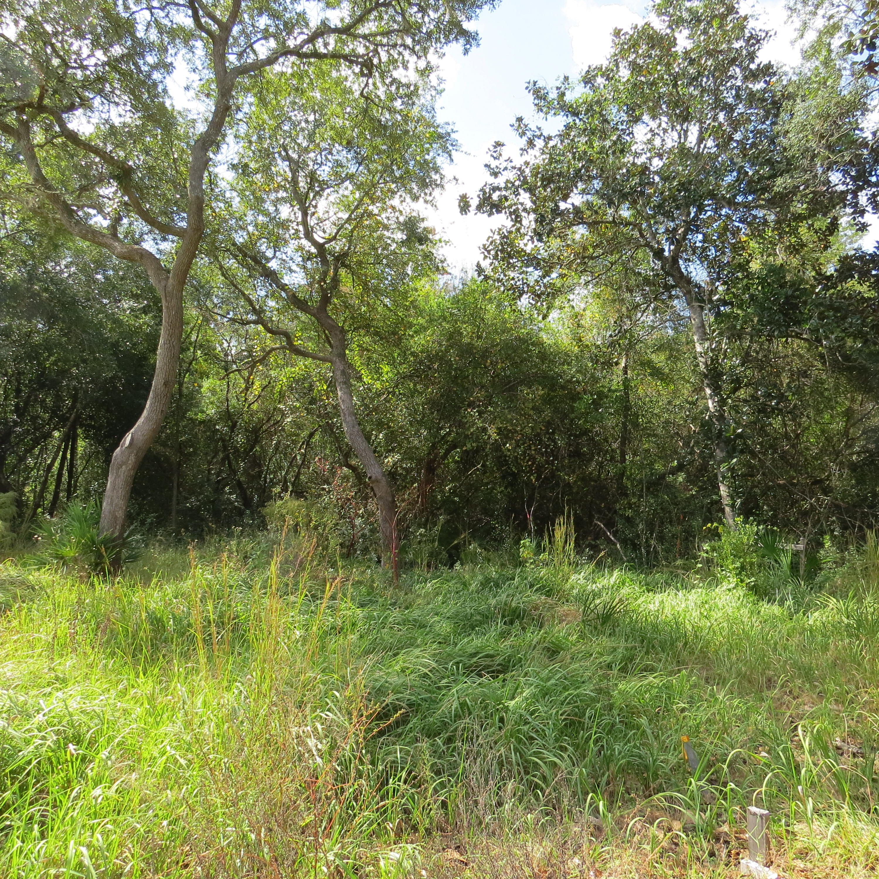 EDEN ESTATES UNREC - Land