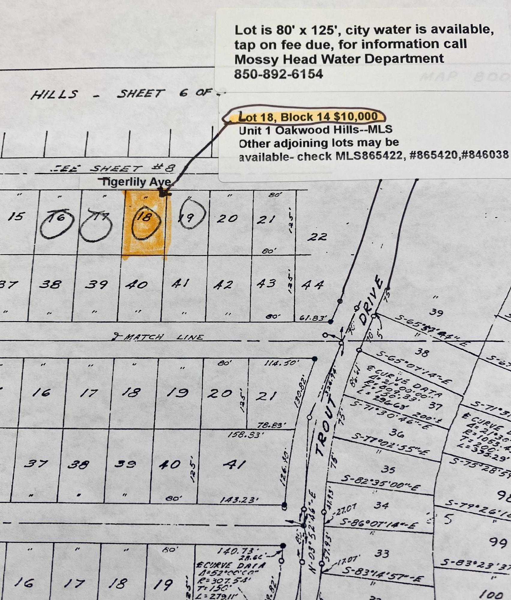 Great location for mobile home or a new home to be built...Near to Eglin AFB, Destin and South Walton Beaches, and I-10 exit, cracked asphalt road just off Trout Road which is paved also. Lot is 80' x 125' and has current survey. Other adjoining lots maybe available check MLS#846038,#865420,#865422.