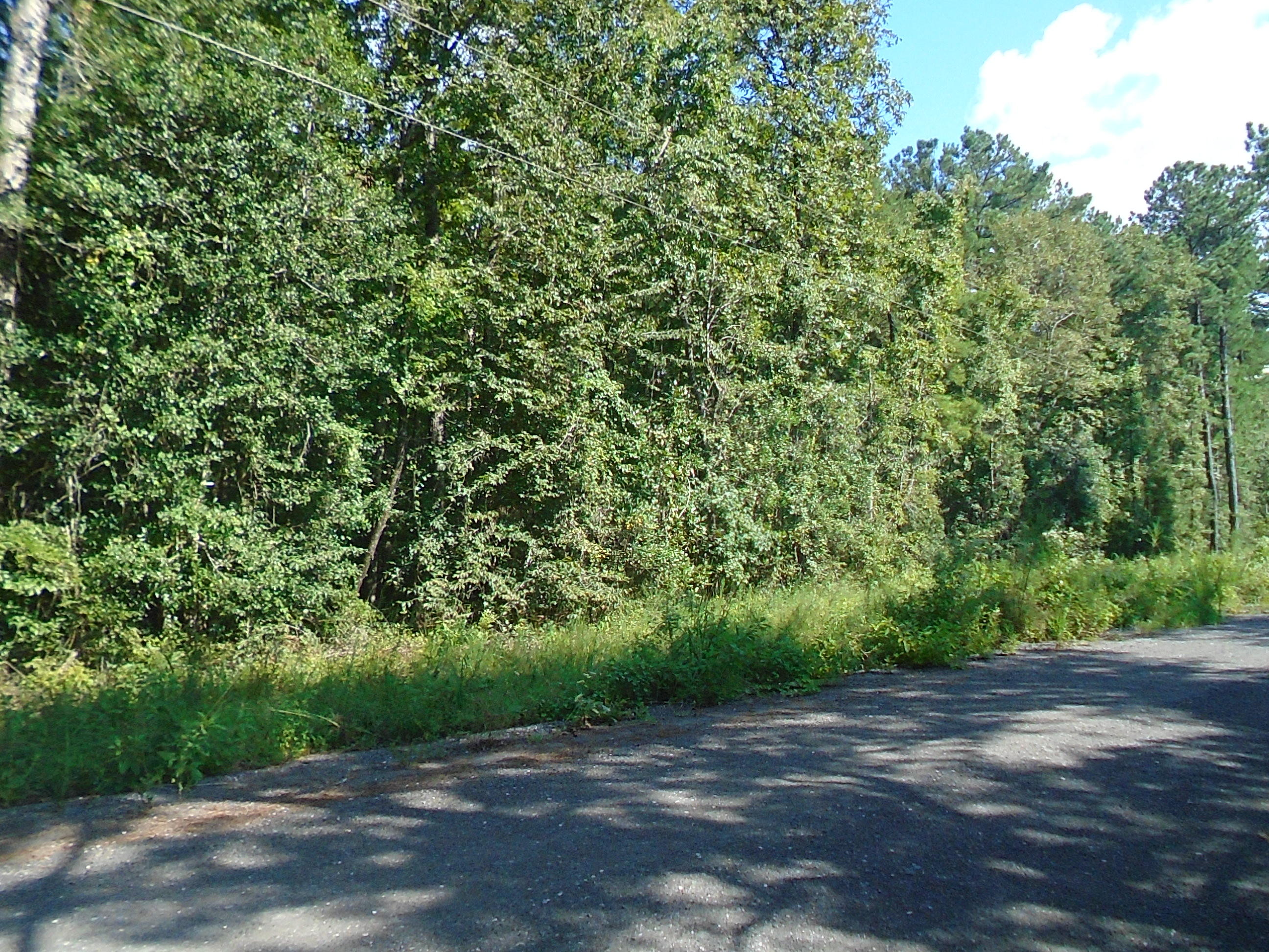 5 wooded acres located in the Eucheeanna Valley Area. Road is crushed asphalt. Homes are in the area so electricity is available.