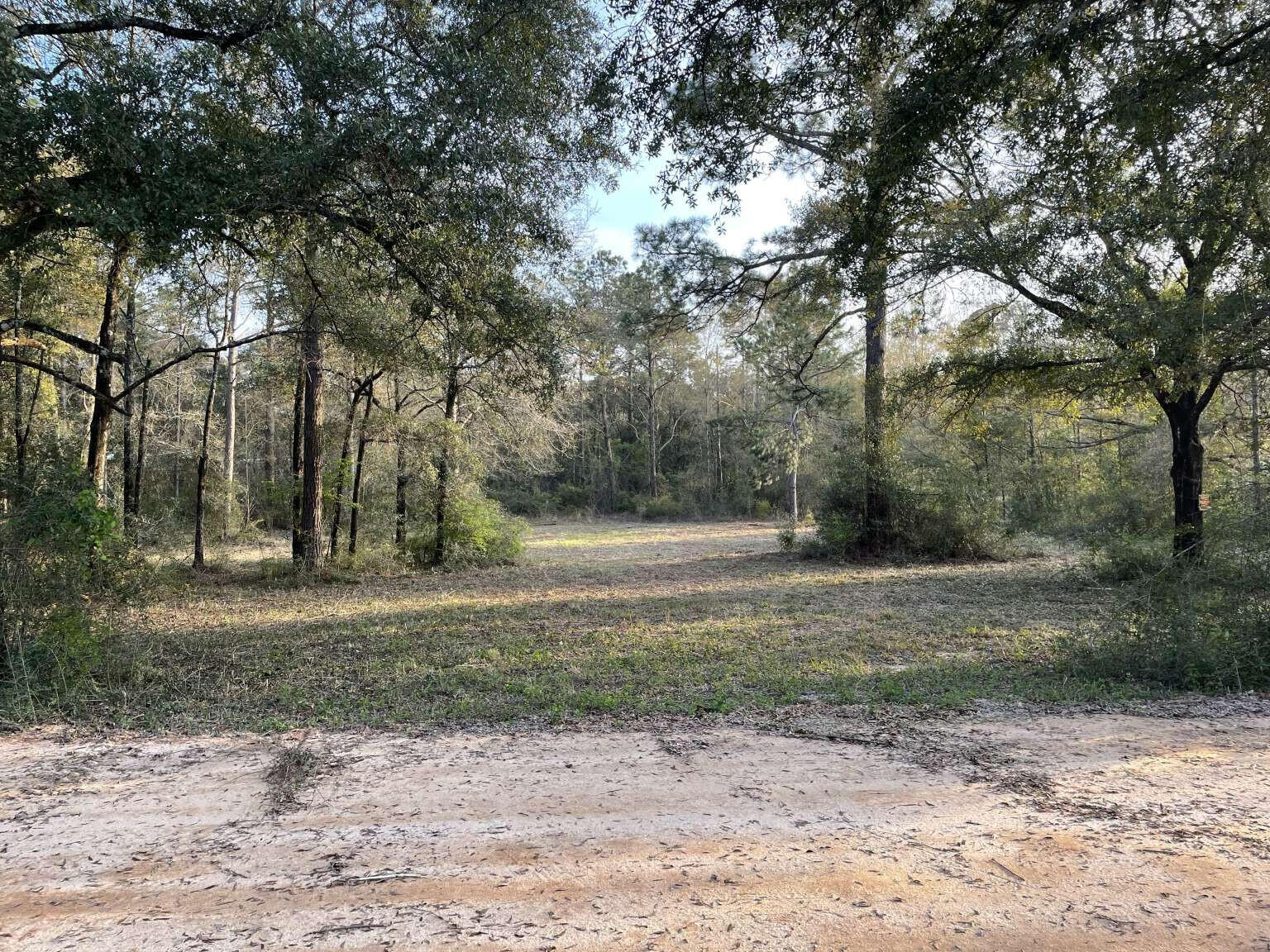 Discover the allure of this stunning 2.52-acre wooded lot, partially cleared to ignite your imagination. Situated a mere 5 miles west of DeFuniak Springs, it offers a perfect balance of seclusion and accessibility. A convenient electric pole is already installed, complete with space designated for RV parking, making it ideal for both temporary stays and future plans. Additionally, a 2-inch shallow well is ready to serve your immediate needs. Should you choose to build your dream home, a septic system will be required to complete this serene retreat. Lot of Record has already been completed with Walton County. This property offers several potential options. It can be used for commercial or residential. The zoning is currently General Commercial, but you can put a home or manufactured home on this lot. It is currently surrounded by homes on adjoining lots. Clayton Homes or another another manufactured home provider can build on this site for you!