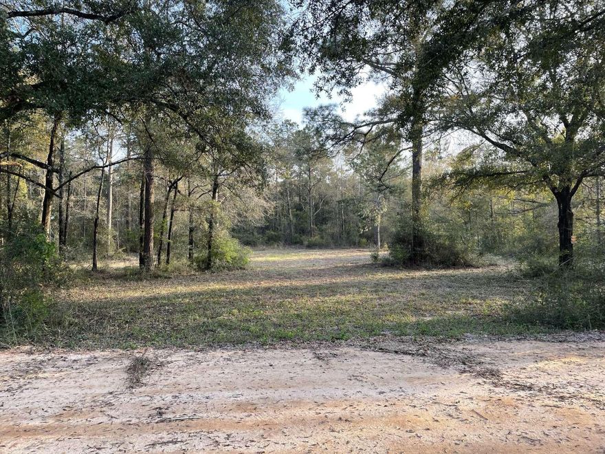 Discover the allure of this stunning 2.52-acre wooded lot, partially cleared to ignite your imagination. Situated a mere 5 miles west of DeFuniak Springs, it offers a perfect balance of seclusion and accessibility. A convenient electric pole is already installed, complete with space designated for RV parking, making it ideal for both temporary stays and future plans. Additionally, a 2-inch shallow well is ready to serve your immediate needs. Should you choose to build your dream home, a septic system will be required to complete this serene retreat. Lot of Record has already been completed with Walton County. This property offers several potential options. It can be used for commercial or residential. The zoning is currently General Commercial, but you can put a home or manufactured home on this lot. It is currently surrounded by homes on adjoining lots. Clayton Homes or another another manufactured home provider can build on this site for you!