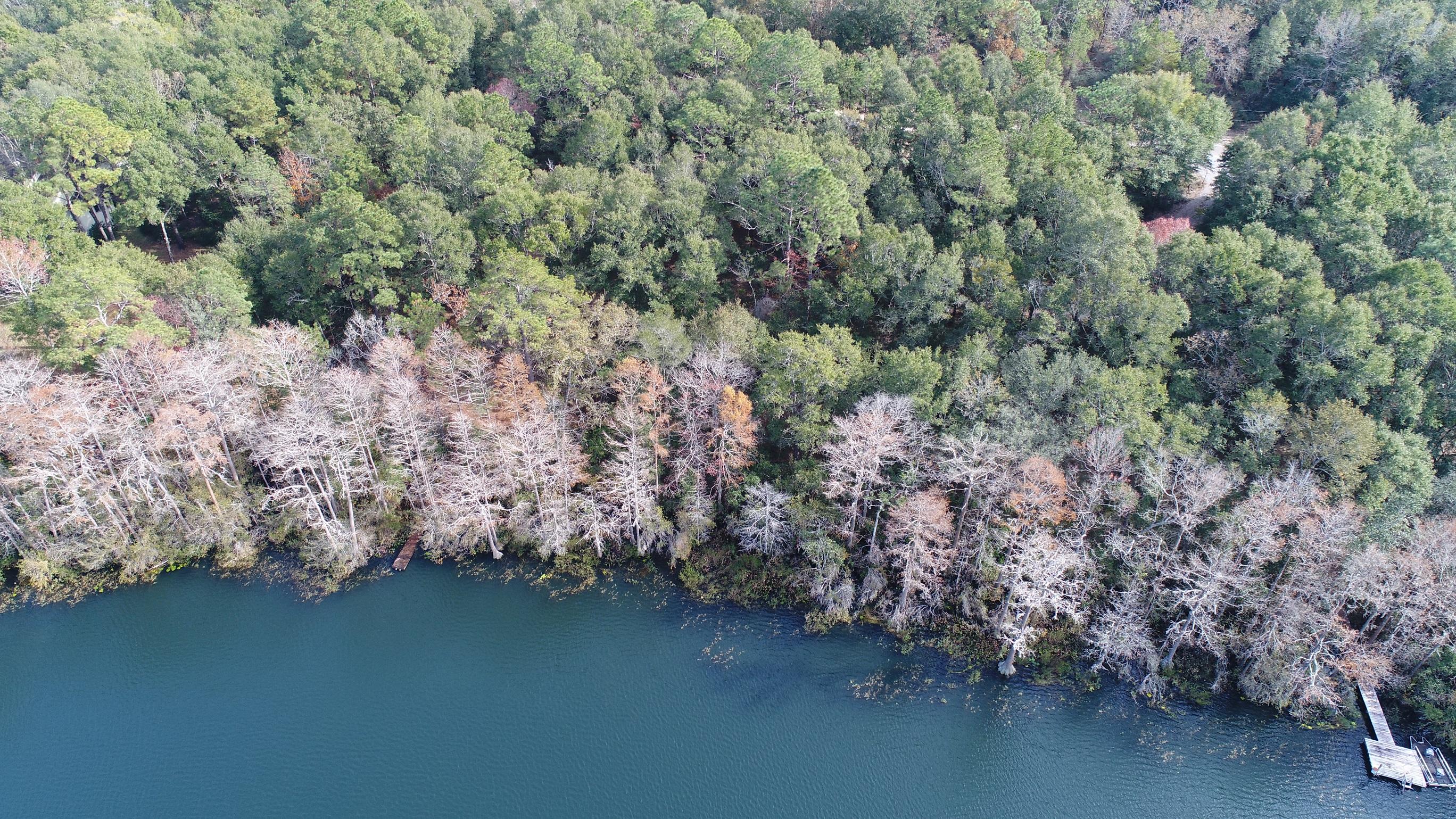 BLUELAKE COUNTRY ESTATES - Land