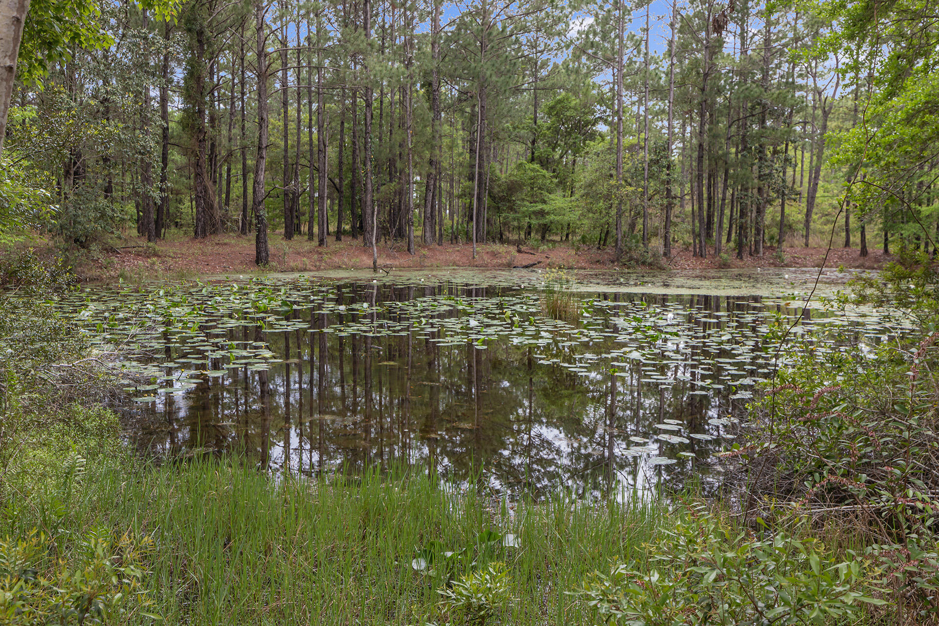 DOLPHIN COVE ESTATES - Land