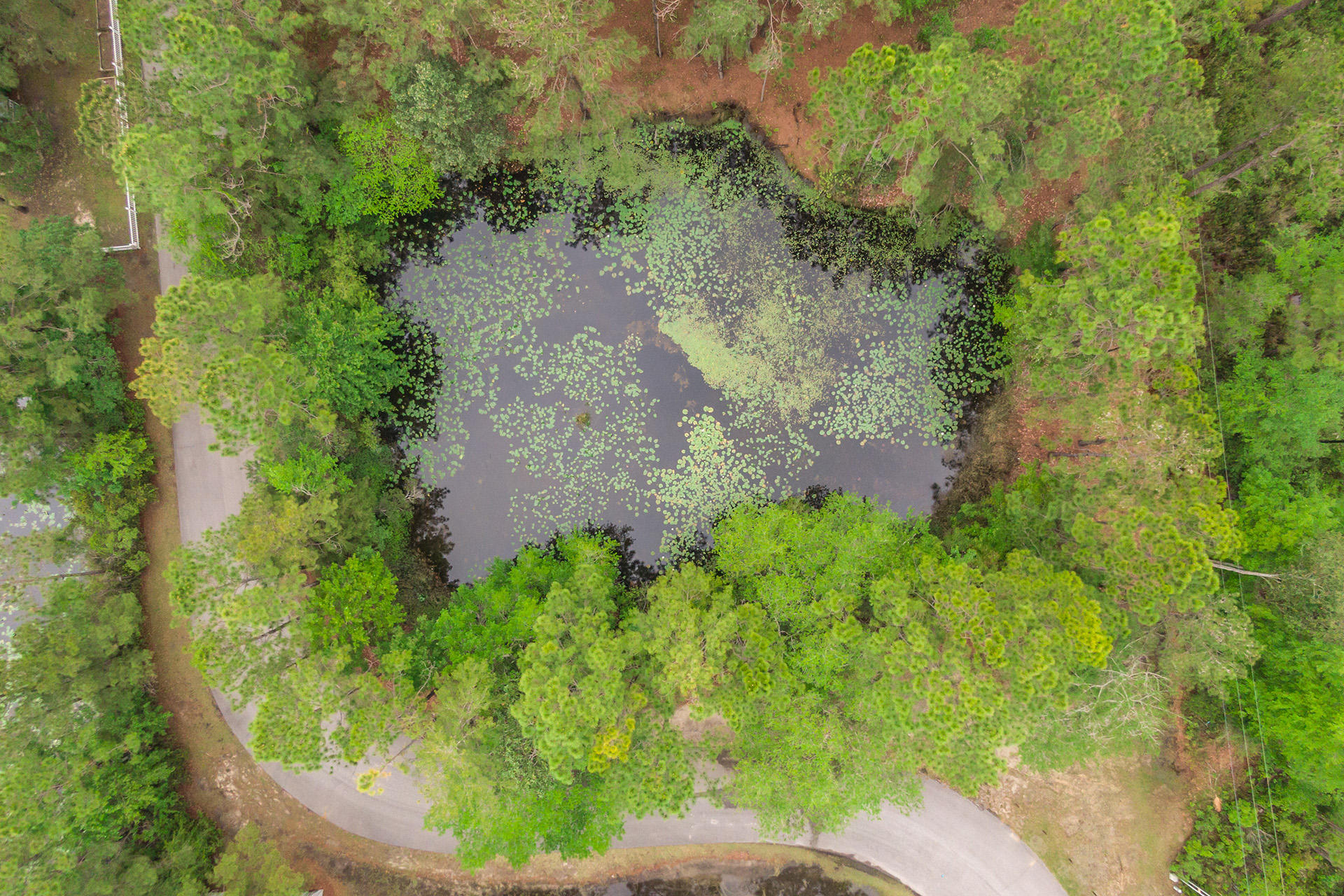 DOLPHIN COVE ESTATES - Land