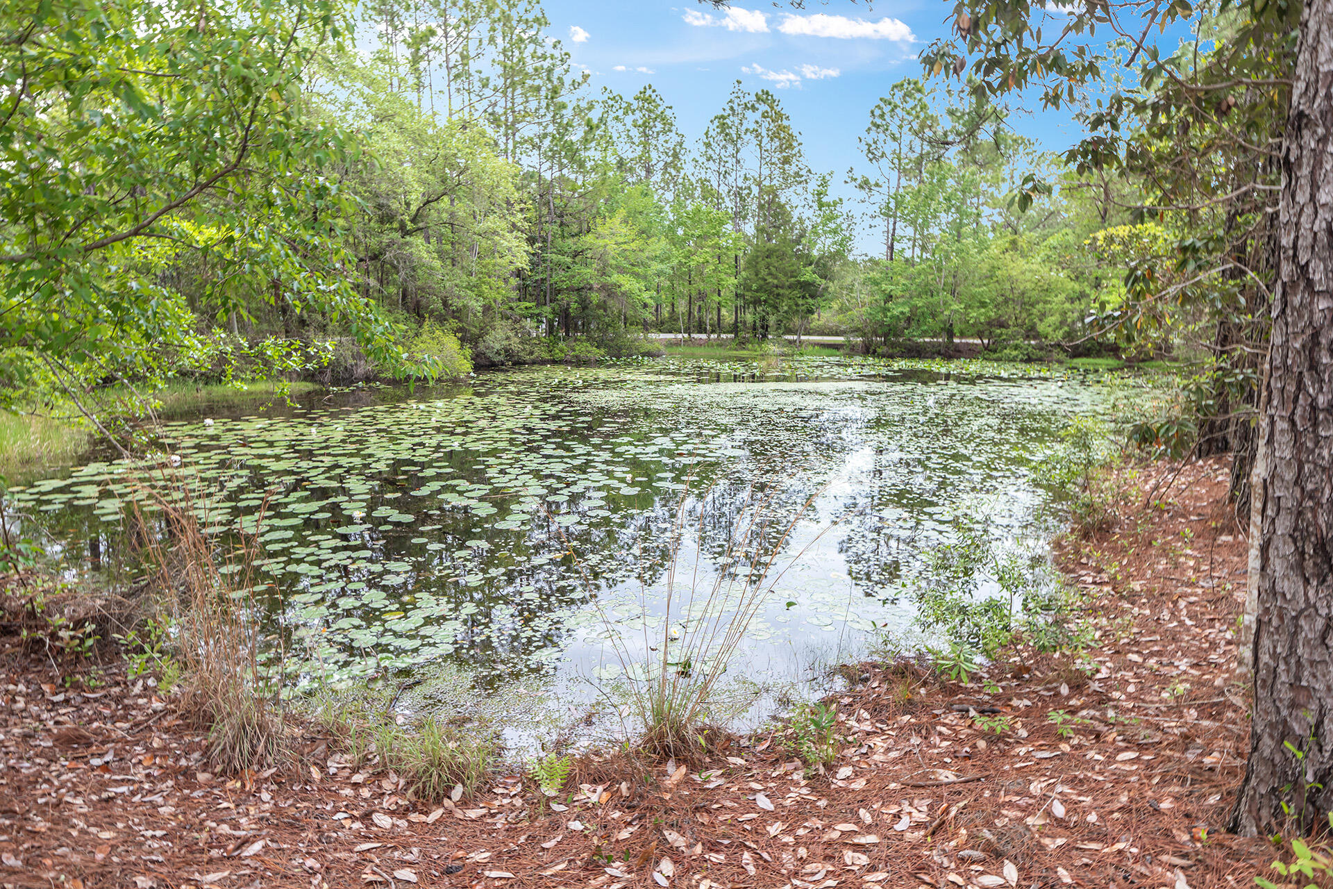 DOLPHIN COVE ESTATES - Land