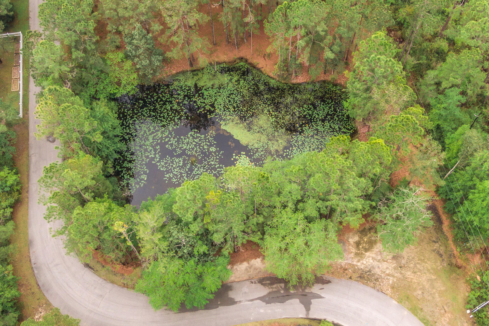 DOLPHIN COVE ESTATES - Land