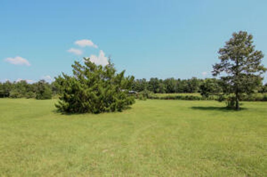 Cleared, level acreage on a paved road. No HOA, not in a flood zone and horses are allowed. Small, open-air barn. Buyer to install culvert and bush hog land. Few trees on the property. Has a wire fence. Seller is retaining the remainer of the 10.5 acres. Seller's home is located in the middle of the back section of this property. Public water; septic tank is needed. Listed for sale; on MLS #944271.