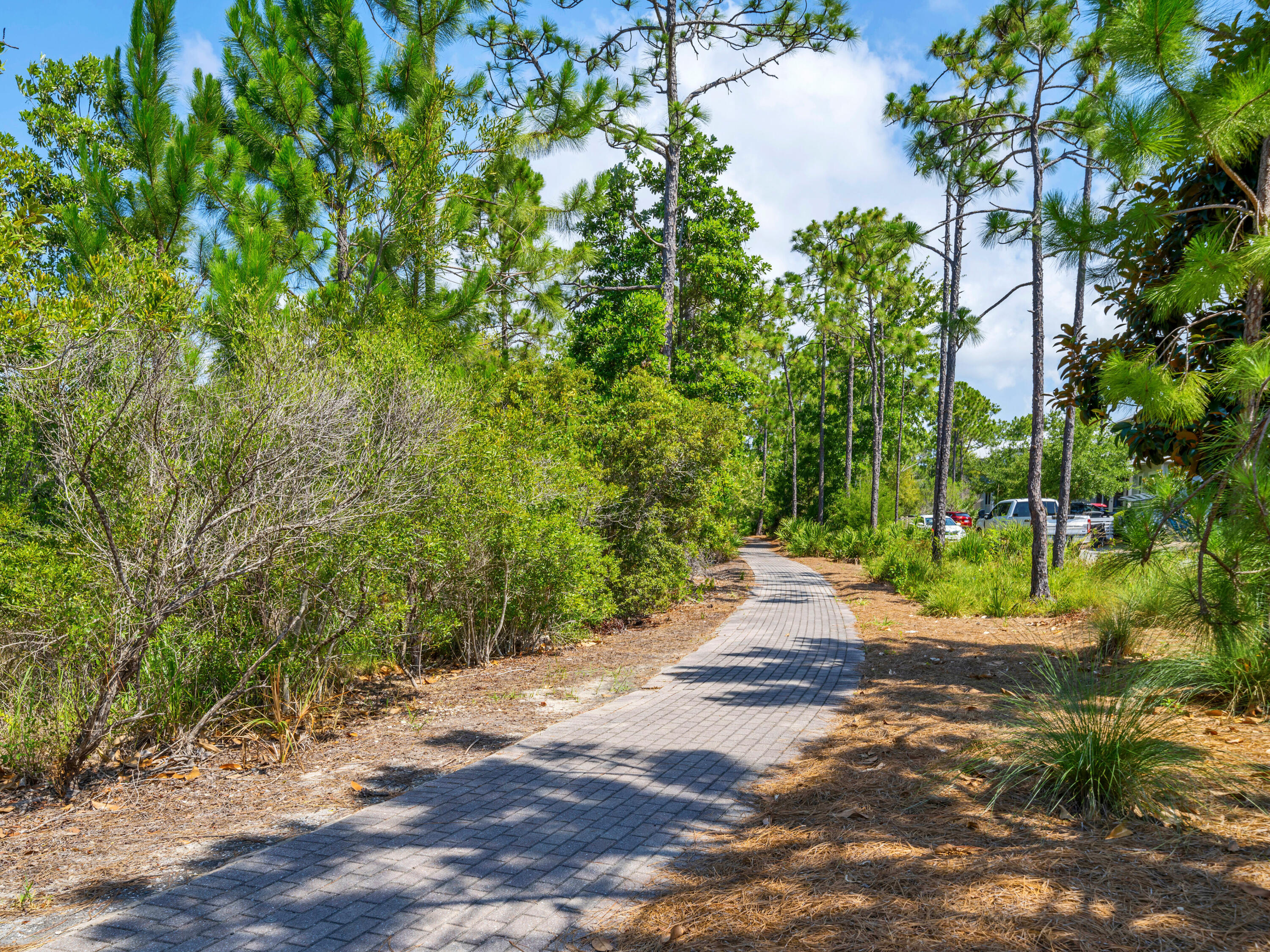 NATUREWALK AT SEAGROVE - Residential