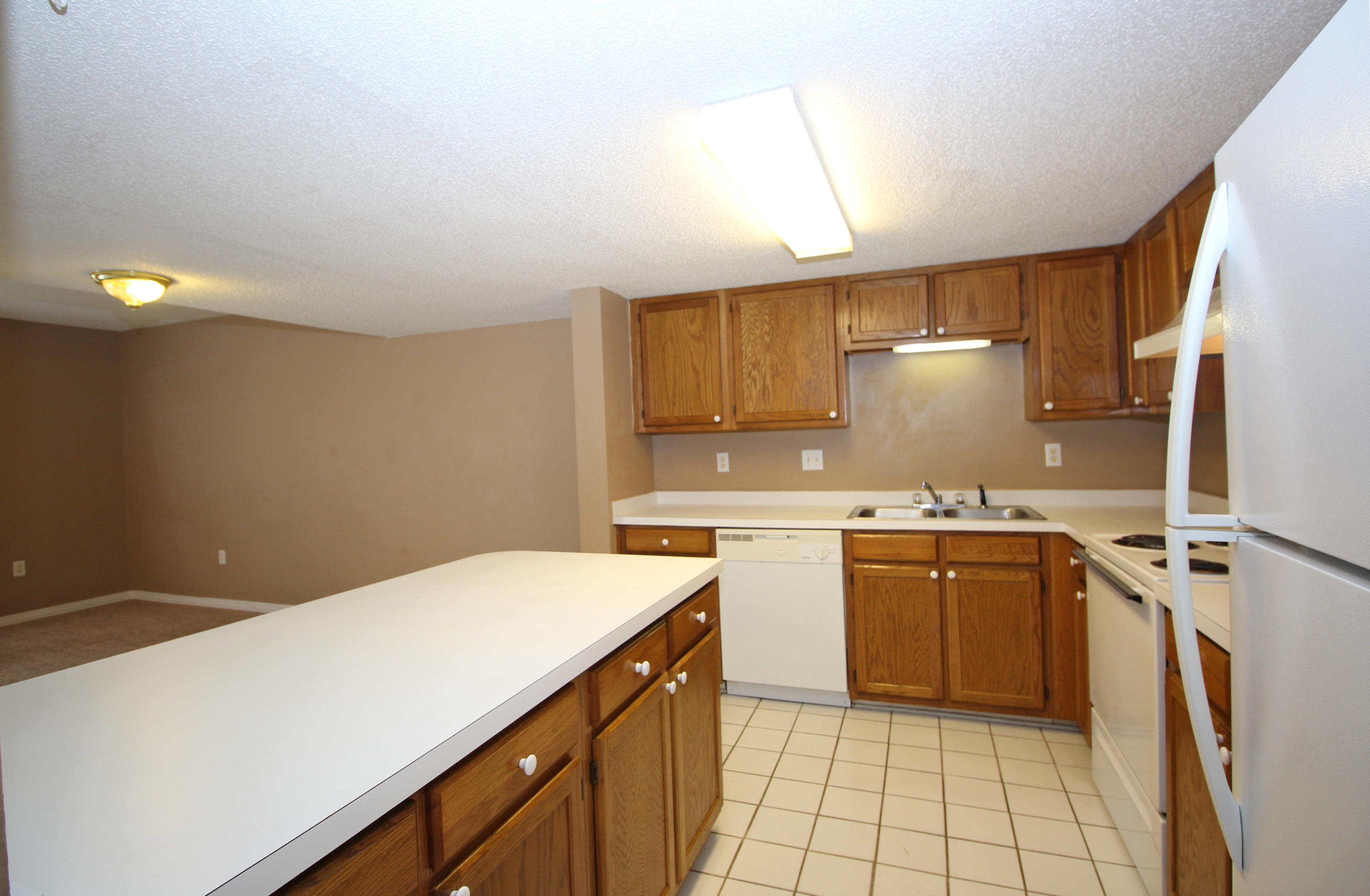 SCHNEIDER DRIVE T/H - Residential