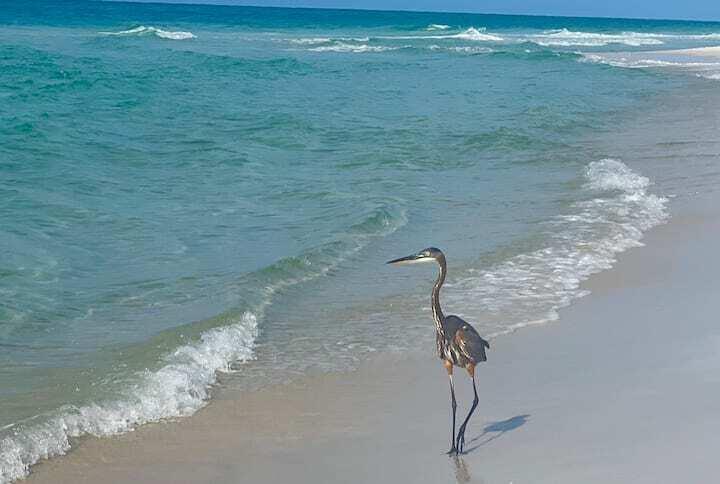 MISTRAL CONDO - Residential