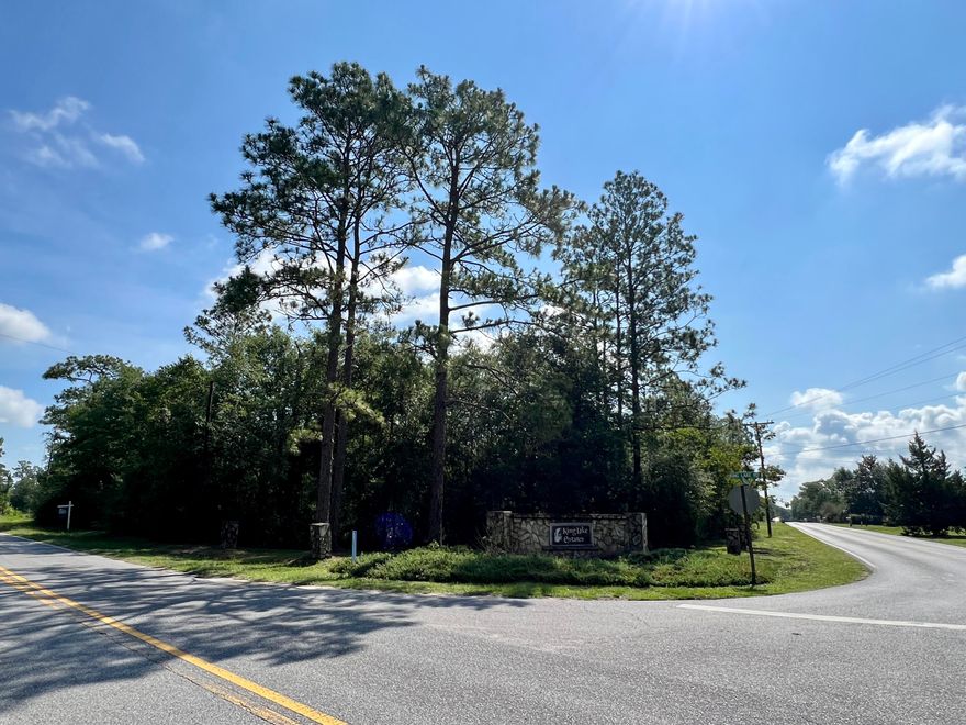 Fantastic opportunity to purchase an almost 1.5 acre corner lot, just around the bend from Kings Lake and Sunset King Lake RV Resort with electric and water tap fee paid. Zoned rural village, this lot allows for many opportunities, including manufactured homes, single family detached or attached, short term rentals and some limited commercial uses (see attached document from Walton Co Land Development Code). Rural Village allows for 2 UNITS PER ACRE. Electric has been run and water is connected with tap fee paid. This is an unusual opportunity with everything but the septic in place. Don't delay!