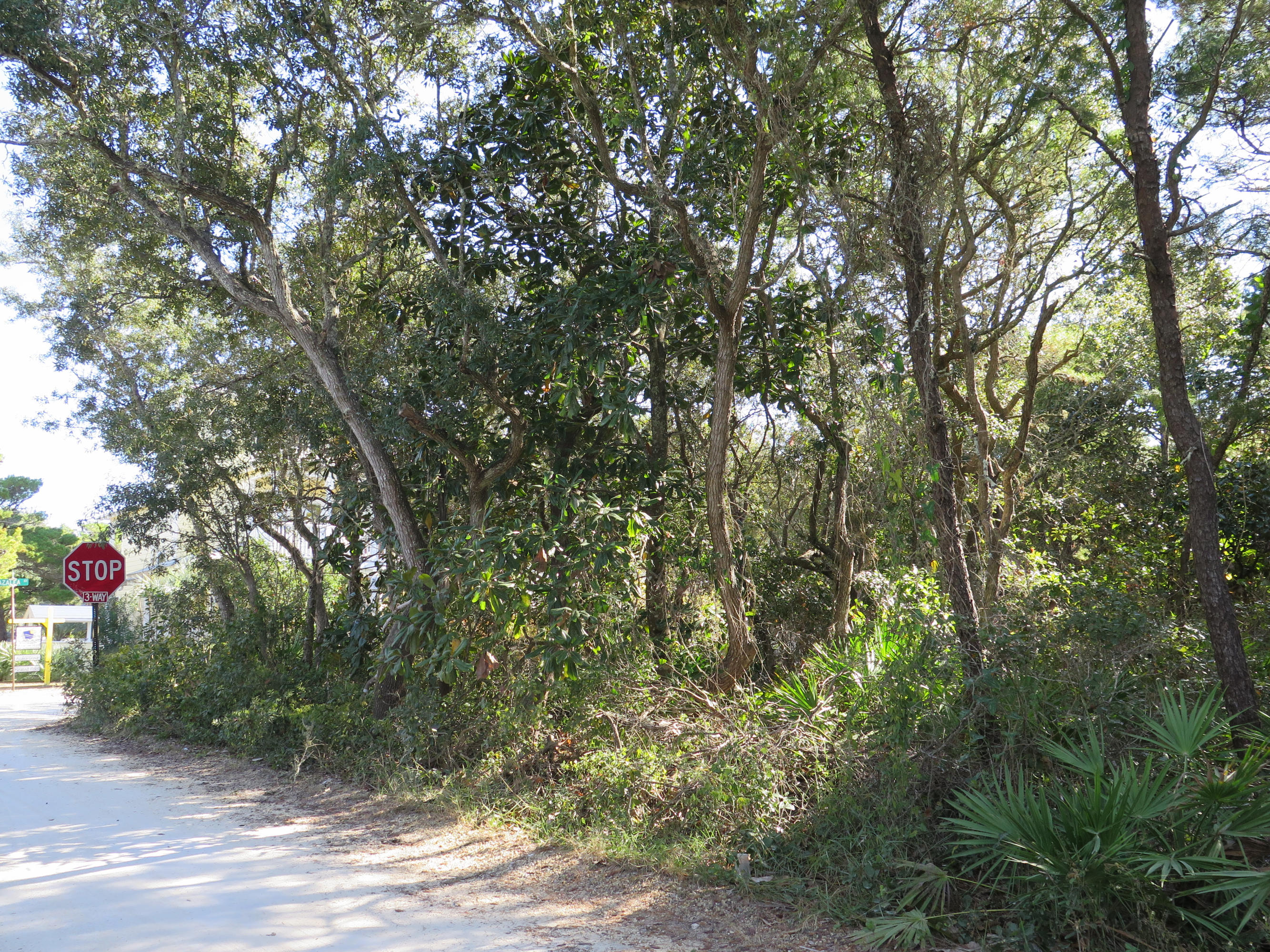 Old Seagrove Lot with windswept oaks, mature magnolias & beautiful native vegetation. This over-sized corner lot is located at East Grove & Azalea St. just one block North of 30A. Build your Seagrove Beach home at your leisure [No HOA or Build out times} Need the entire family at the beach? Adjoining lot to the south (lot 10) available. Convenient beach access is just yards away between Azalea & Camellia Streets. Enjoy a leisurely stroll along Seagrove's sandy lanes or bike to all the conveniences of shopping, dining, entertainment in Seaside. Publix shopping is w/in a half mile. ***Buyer is responsible for personally verifying details about this property. All information contained on the listing is believed to be accurate but not guaranteed. ***
