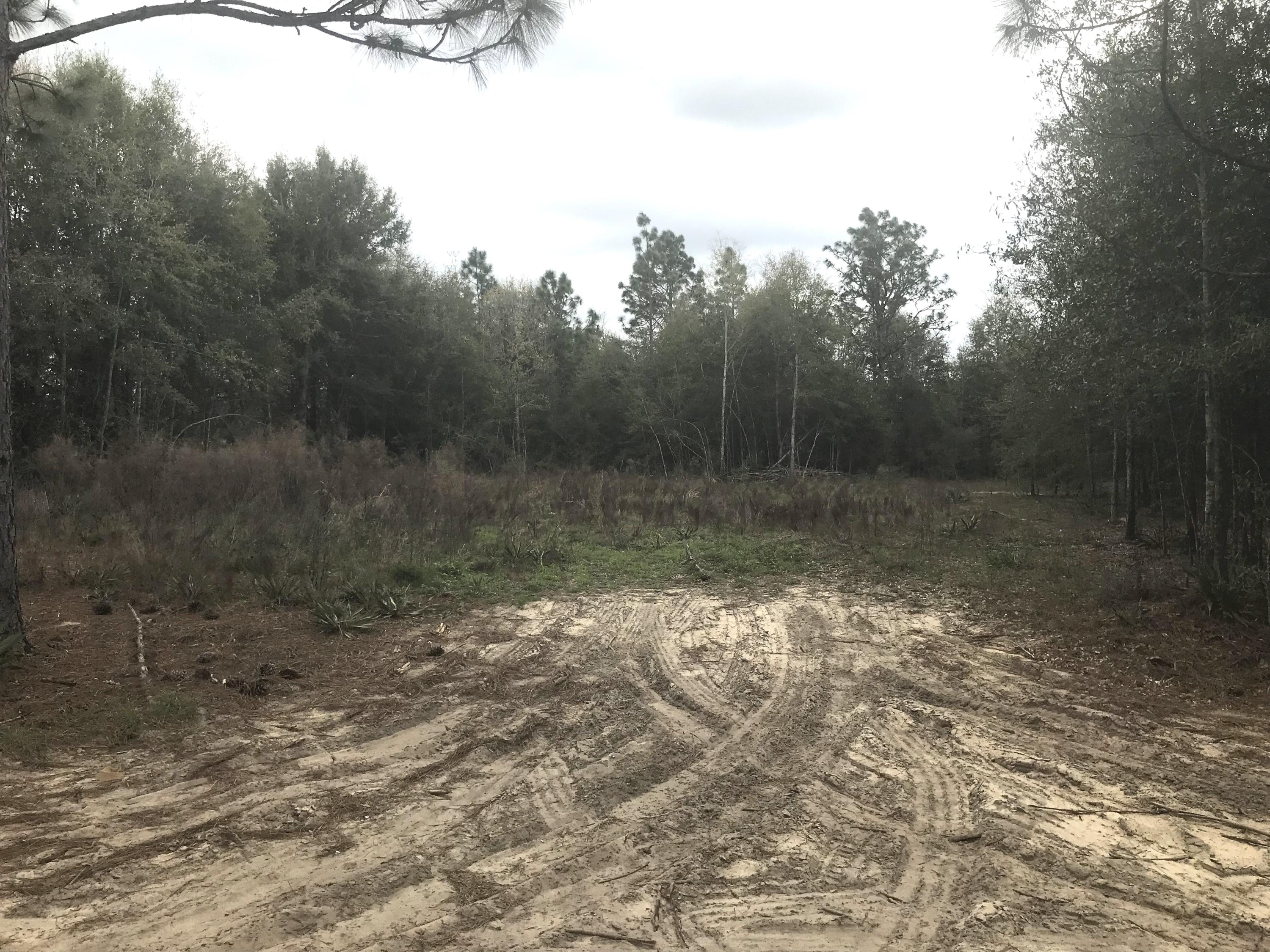 Harvest Hill PH 4 - Land