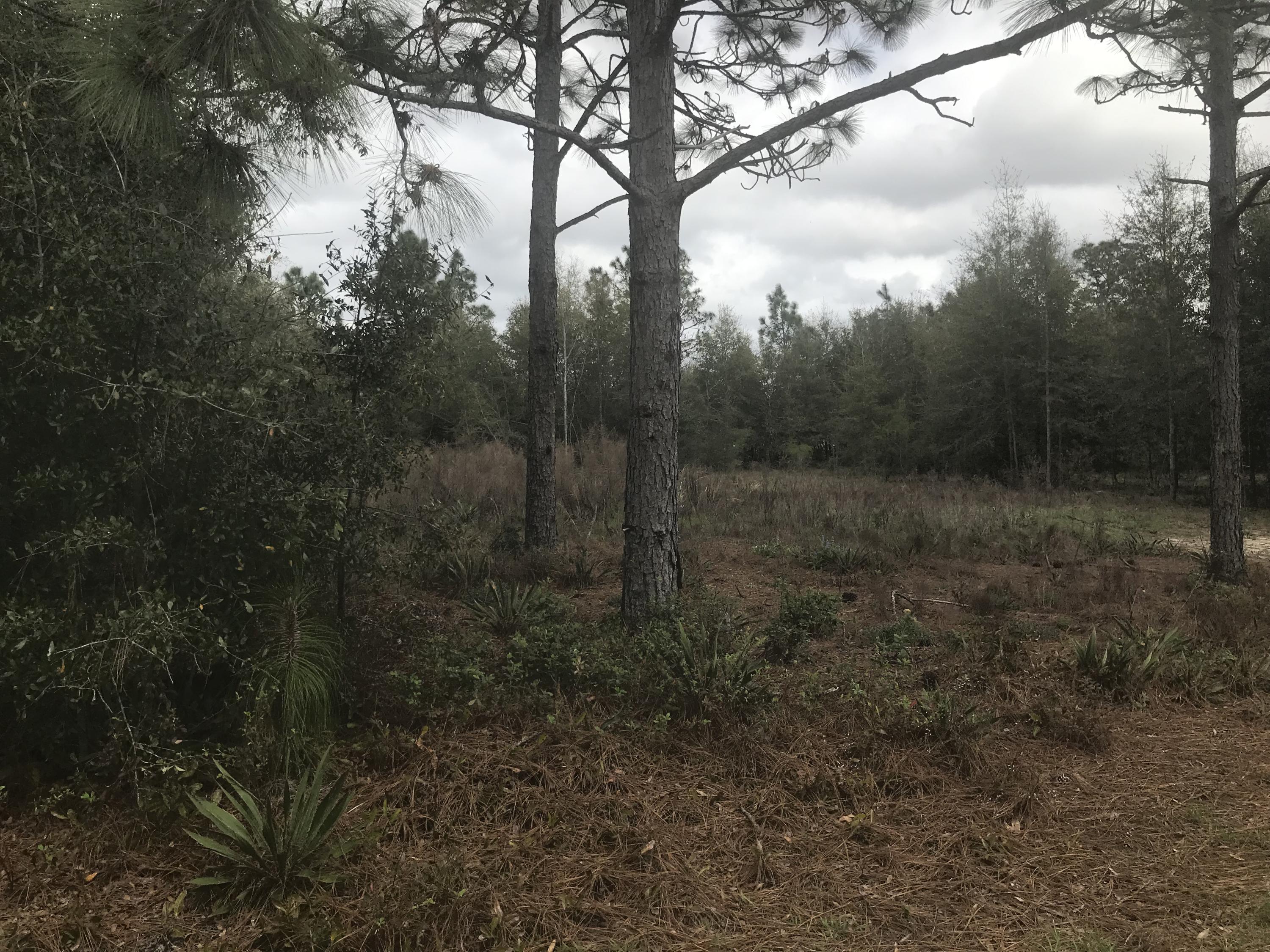 Harvest Hill PH 4 - Land