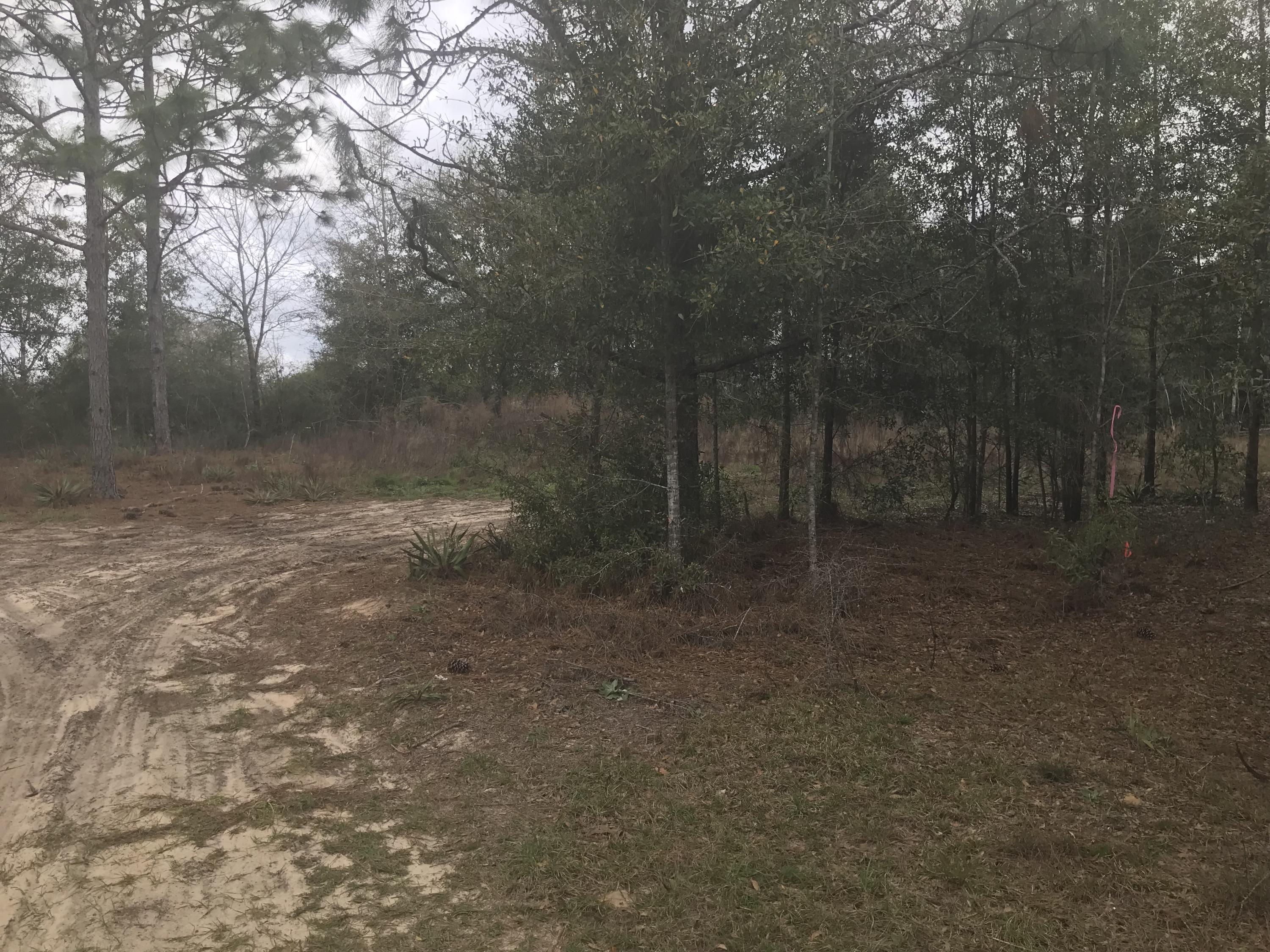 Harvest Hill PH 4 - Land