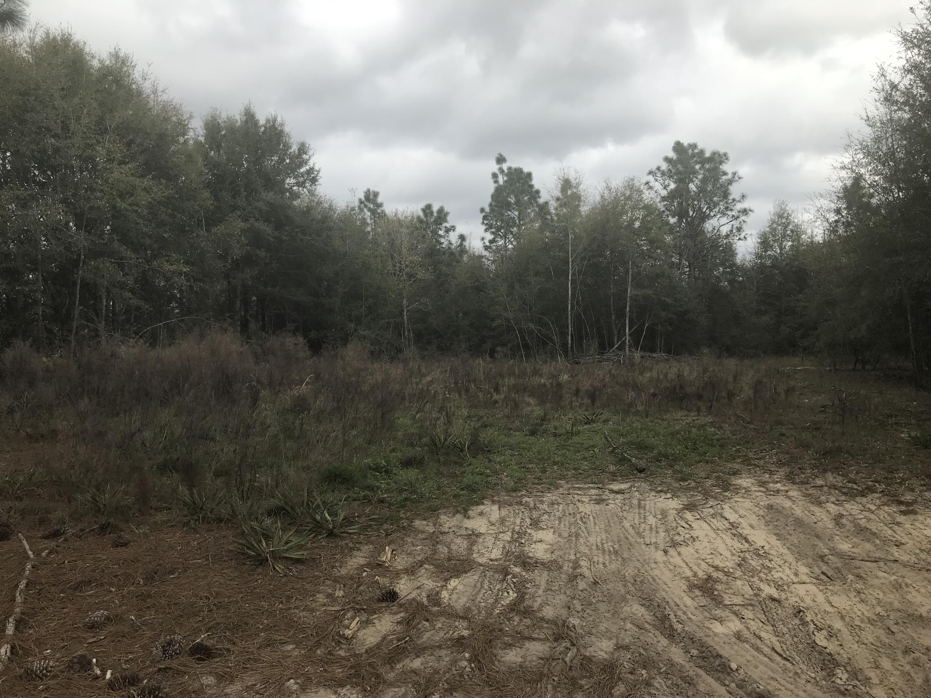 Harvest Hill PH 4 - Land