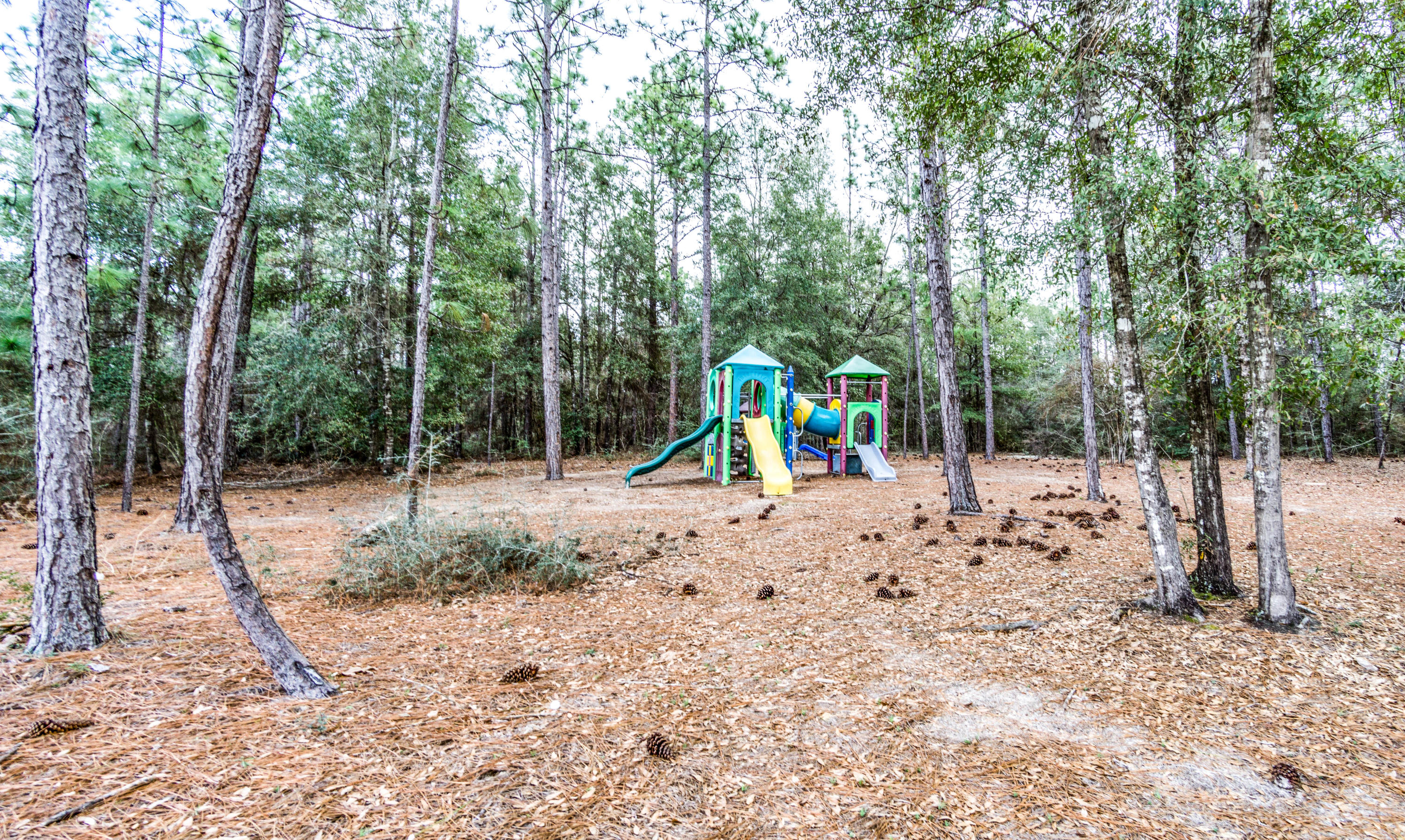 Yellow River Plantation - Residential