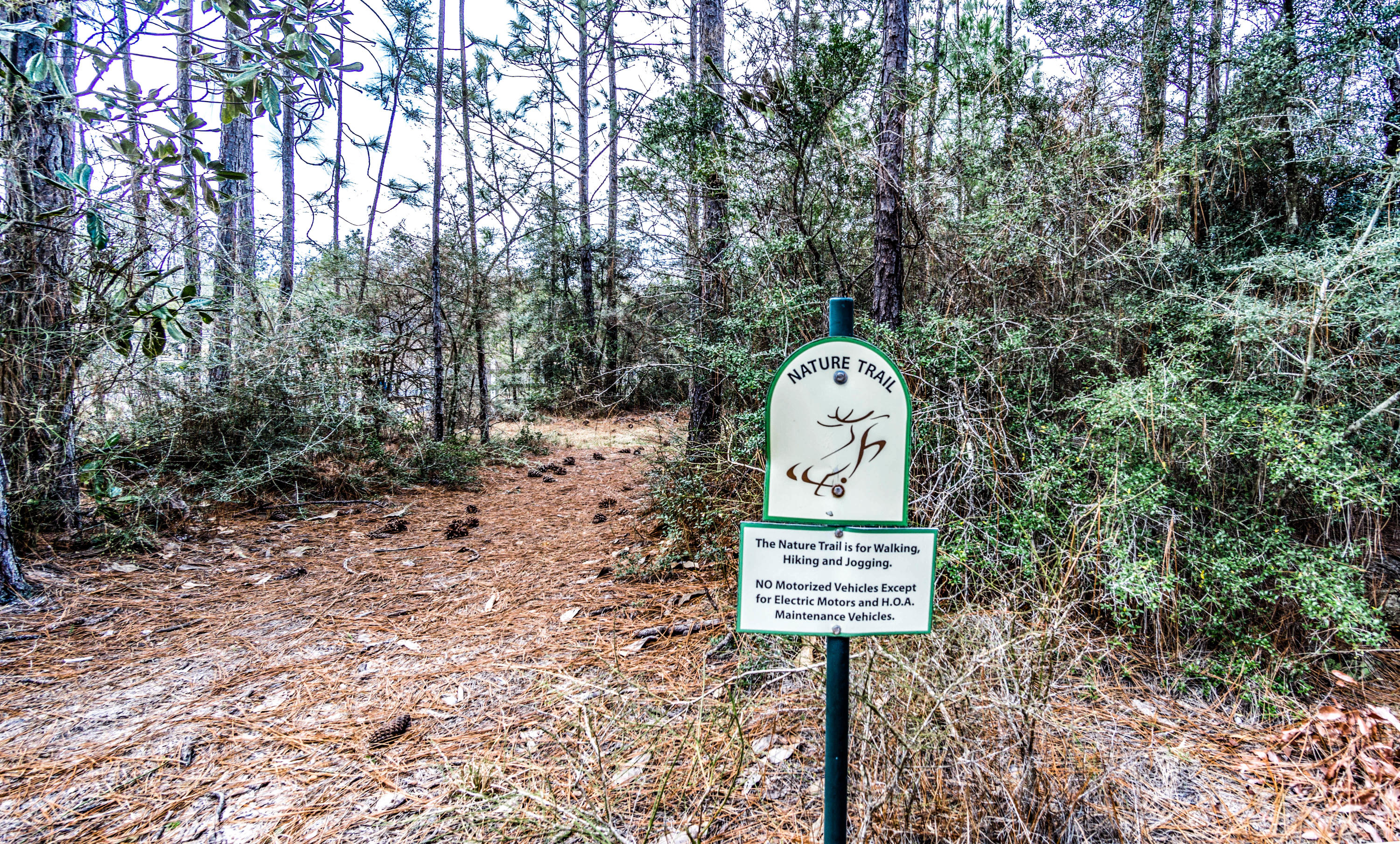 Yellow River Plantation - Residential