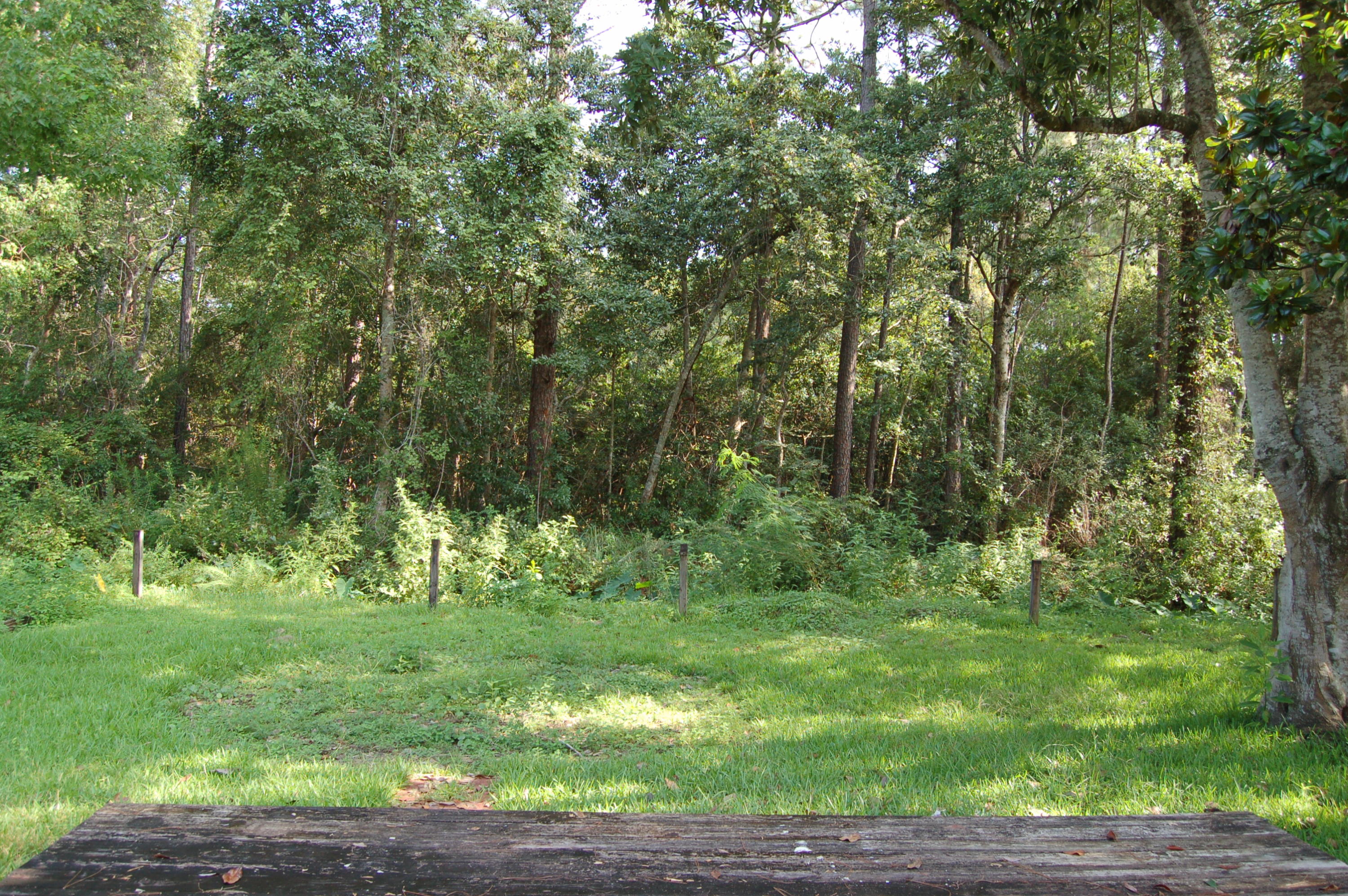 PINE MEADOWS - Residential