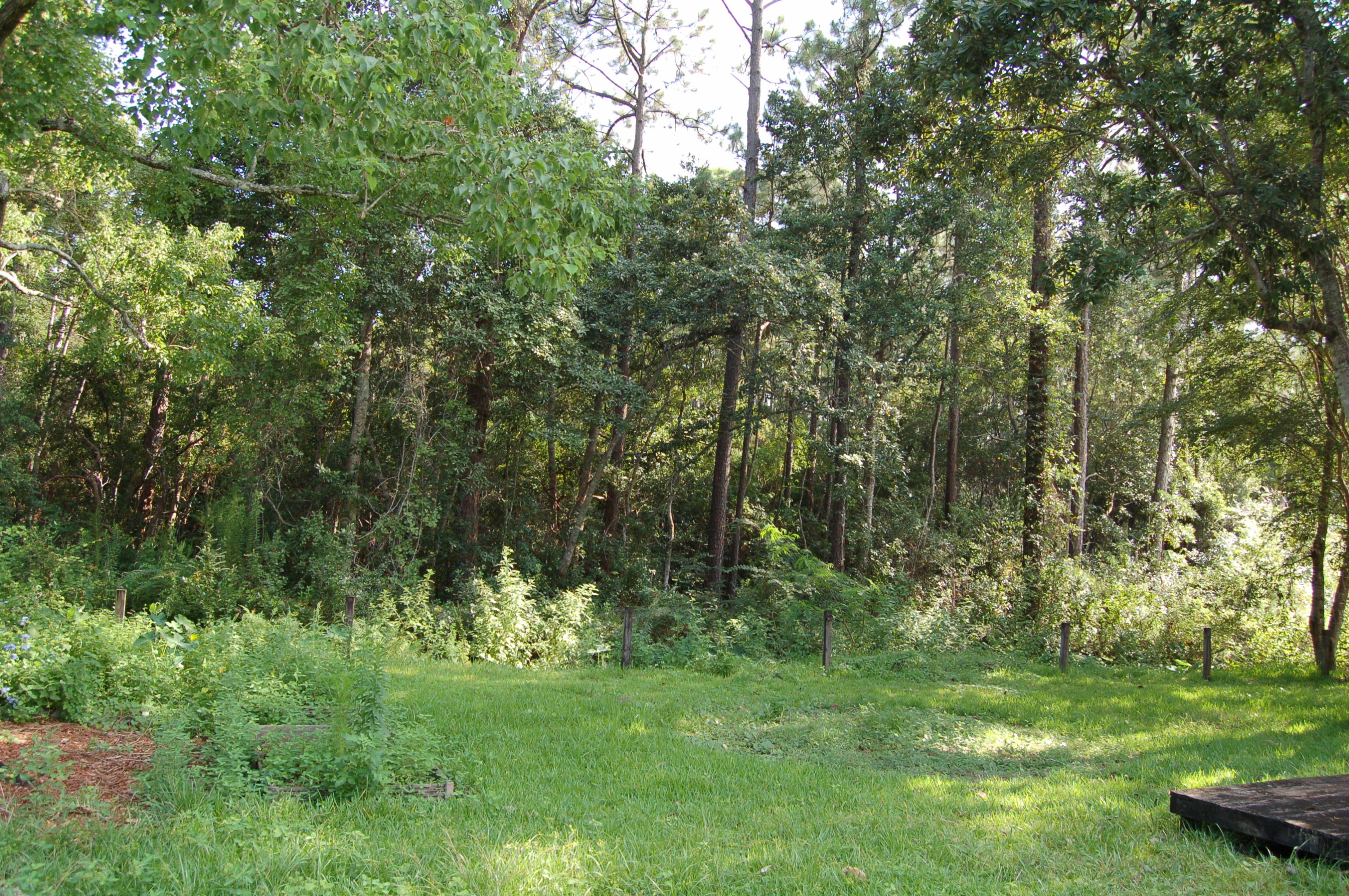 PINE MEADOWS - Residential