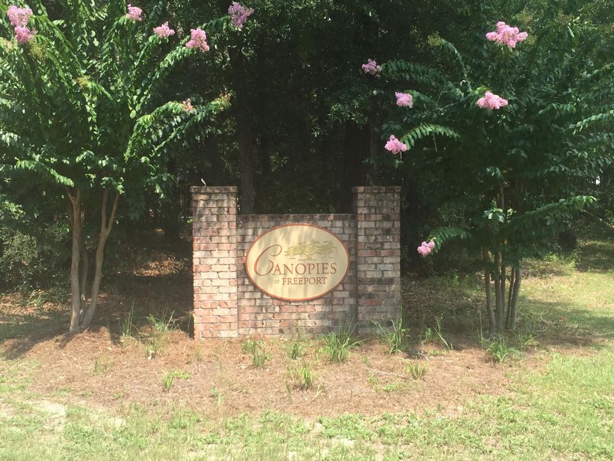 Presale in the Canopies