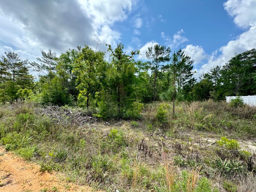 Tucked away in the Oakwood Hills community, you'll find this .229 acre lot that's ready for you to develop & make your own! Located in the country, but still close to town. Easy access to Hwy 90 and I-10 (under 7 miles away), 13.5 miles to the up-and-coming Shoal River Ranch industrial park, plus the Emerald Coast beaches are approx 45 mins away! No HOA and mobile homes allowed.