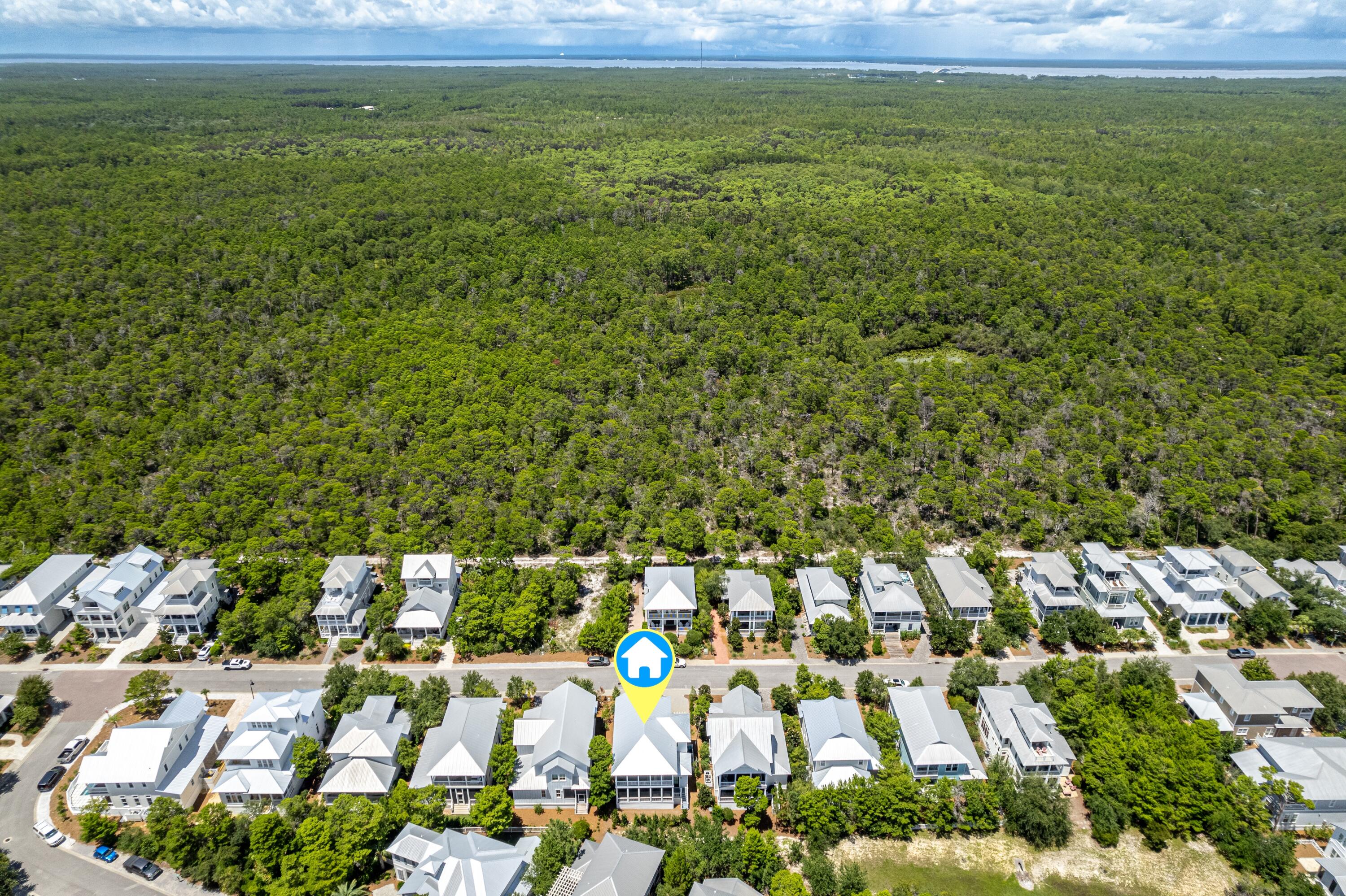 THE PRESERVE AT GRAYTON BEACH - Residential