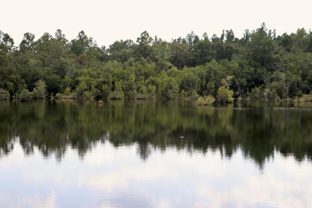 Cultivate your dreams on 80 acres of prime North Walton County land, just 30 minutes from the beautiful beaches of 30A. This gentleman's farm boasts a stocked 10-acre pond, a renovated 2-bed/1-bath, a large metal shop, and ample space for equestrian activities. Enjoy hunting, fishing, and outdoor adventures year-round. This property offers excellent investment potential and is perfect for equestrian enthusiasts. *Buyer to verify all information