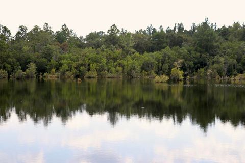 Photo of 261 Wilkerson Road, DeFuniak Springs, FL 32433 (MLS # 986452) Photo of 261 Wilkerson Road, DeFuniak Springs, FL 32433 (MLS # 986452)
