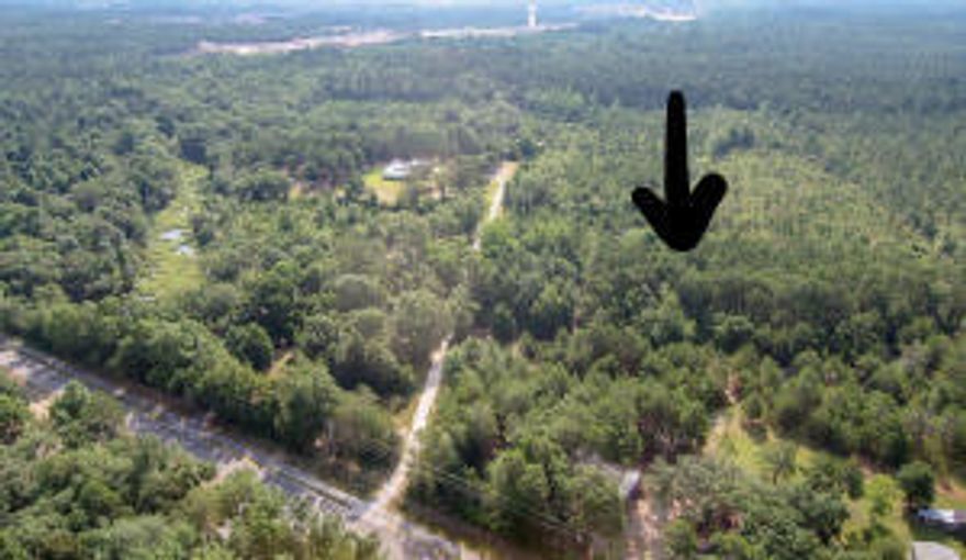 Own your own piece of privacy on this 10 acre parcel!! Tracts F and G on survey in photos is wooded and was once farmed by a family that owns surrounding parcels. Close to downtown Freeport and convenient to the beaches, shopping and restaurants in South Walton and along 30A, you get the peaceful life and privacy only found once in a lifetime!Have a builder and plans ranging from 1955 SF at 455K build out to 3545 at 760K build out costs on top of lot price. Ask for details. well and septic for utilities on the property.This property is pending and a back up contract is in place.