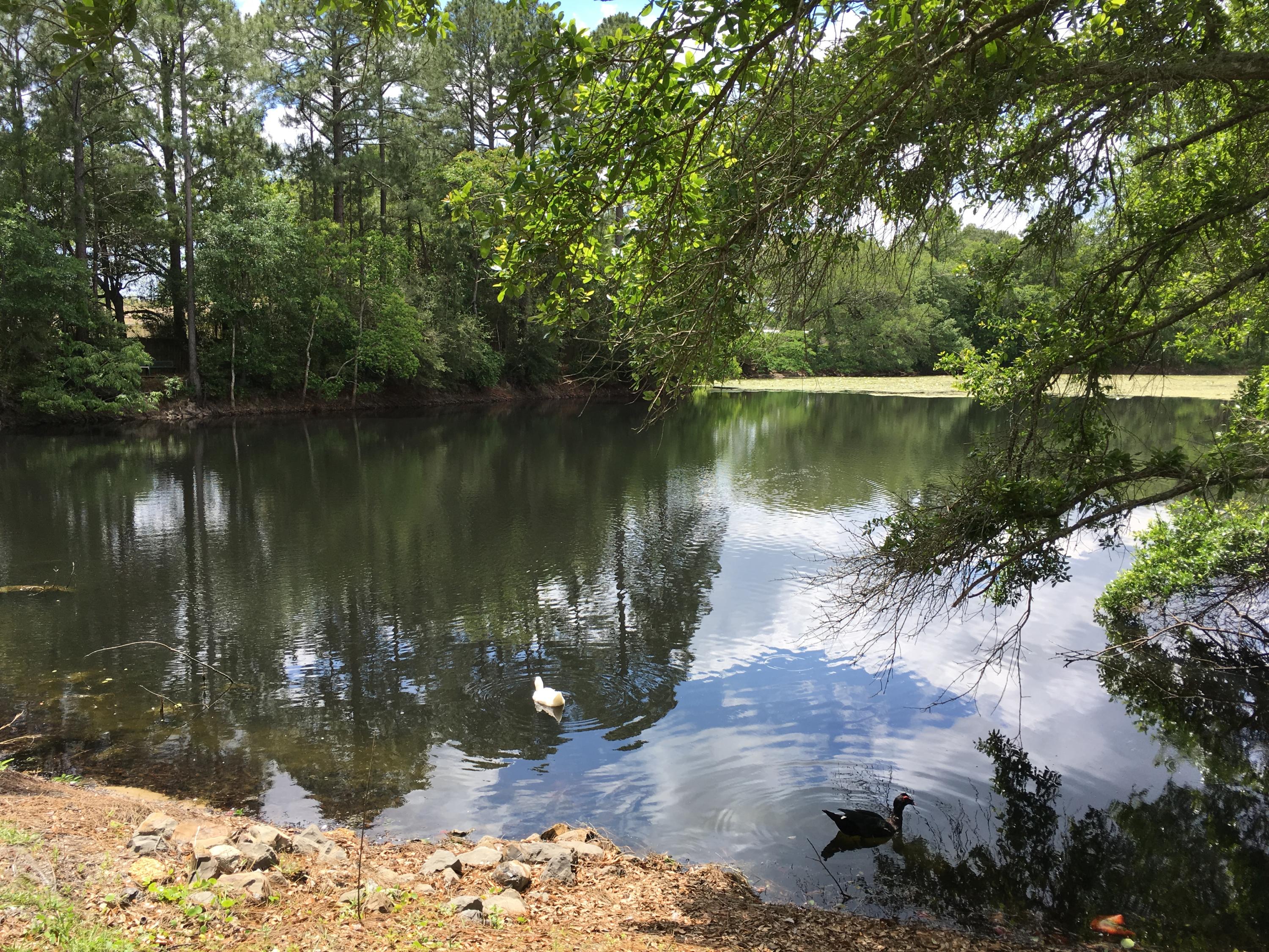 LAKEVIEW - Residential