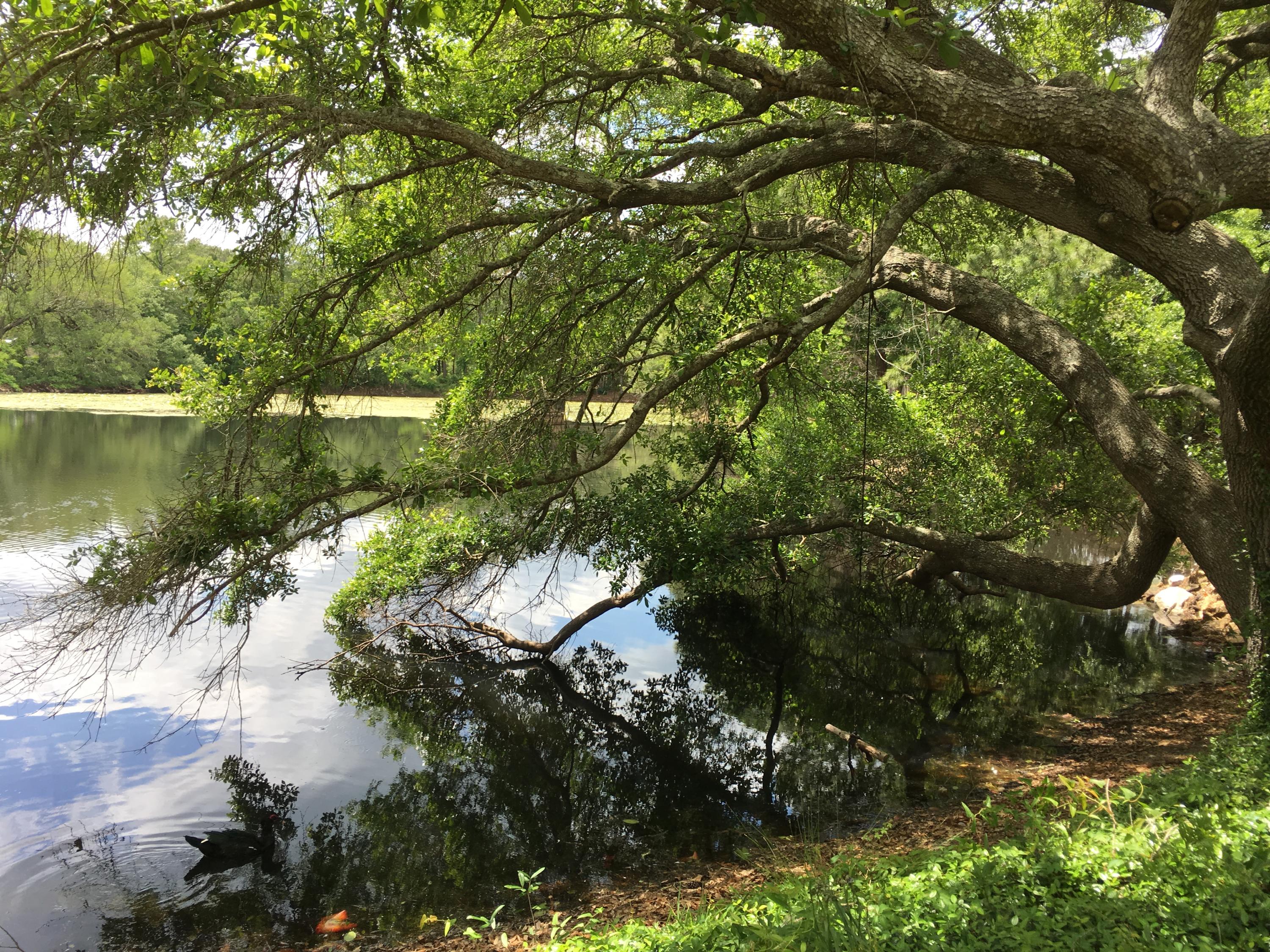 LAKEVIEW - Residential