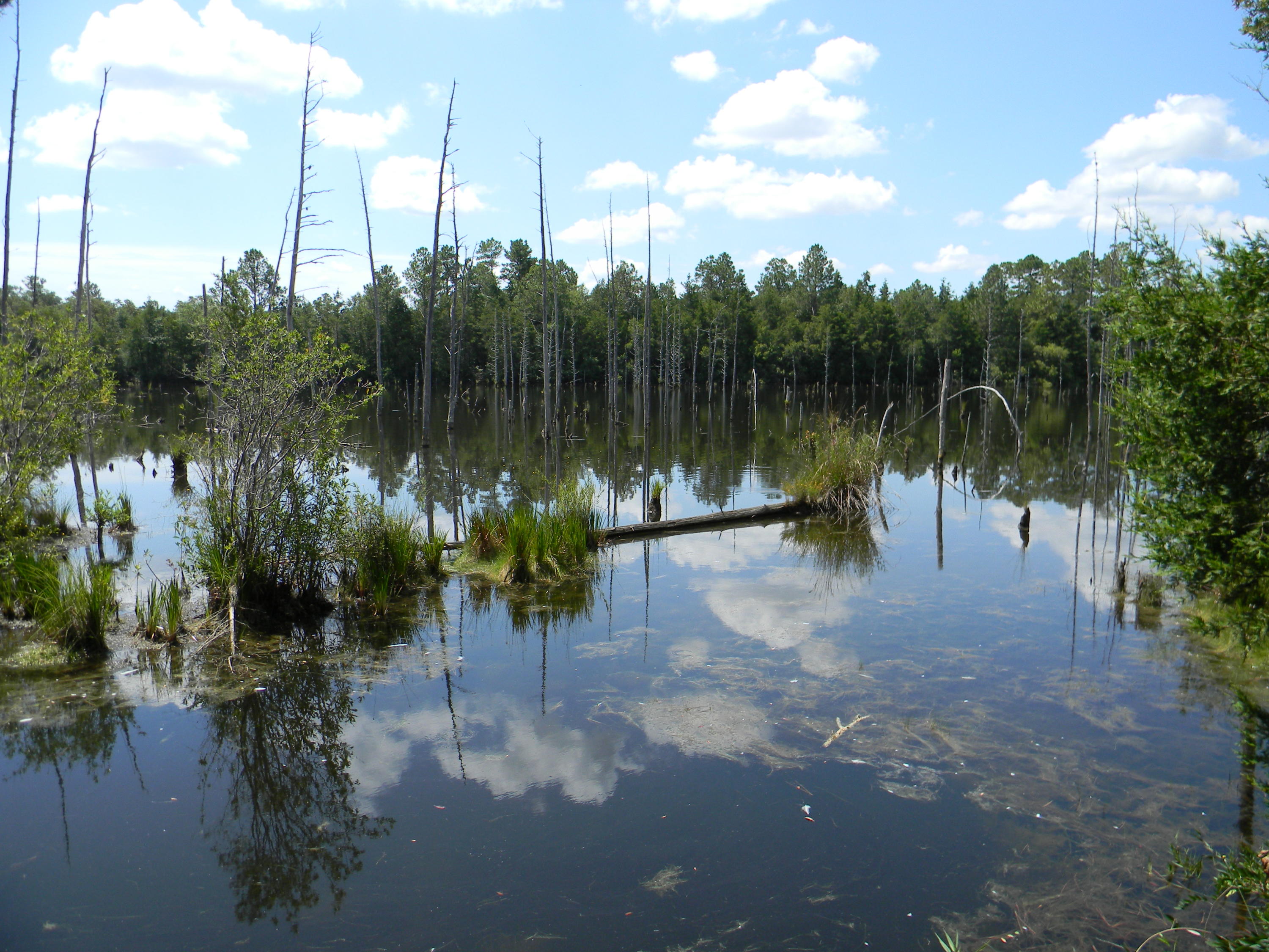 UNRECORDED SUBDIVISION - Residential