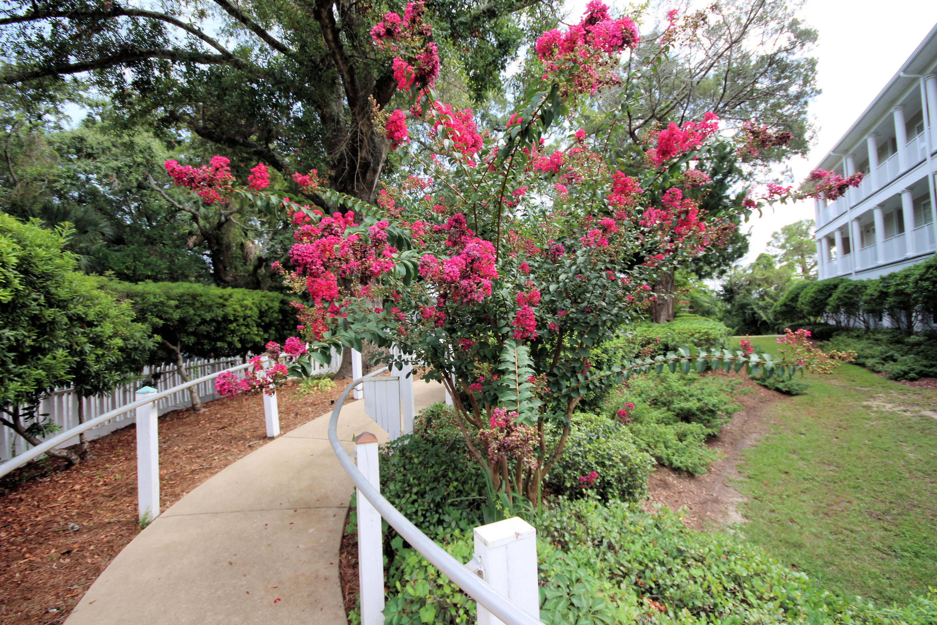 MIRAMAR PLACE - Residential