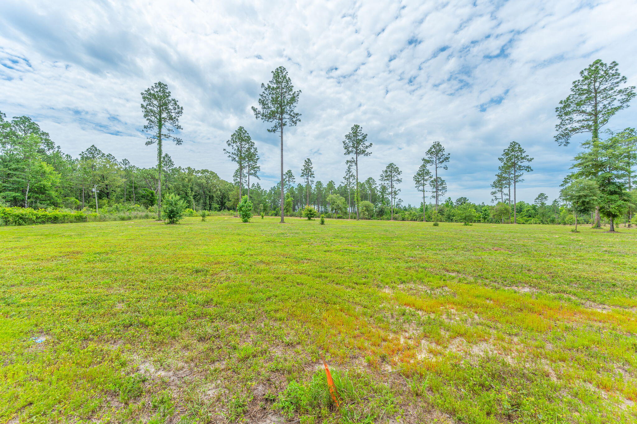 METES & BOUNDS - Land