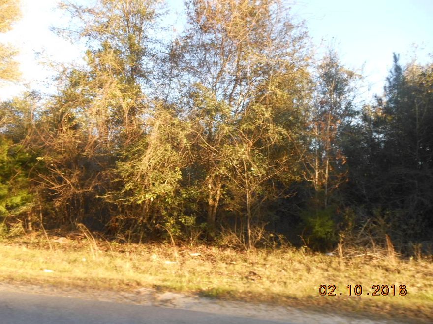 REDUCED ALMOST $20,000! Seller motivated. Don't let this one get away! 56.63 acres of wooded acreage on paved Hwy 10A, in Holmes county. There is a stream on the property. It is conveniently located near Defuniak Springs, Argyle, and Ponce de Leon. This 56.63 acres is a hunter's paradise! Lots of deer and wildlife on property according to owner.