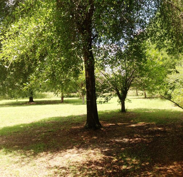 mets and bounds. - Residential