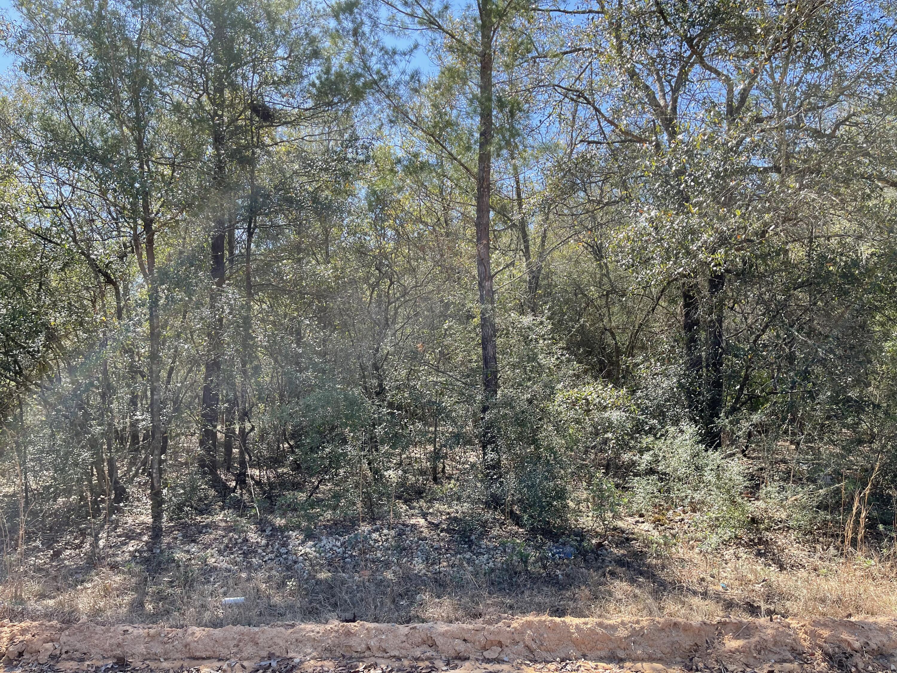 OAKWOOD HILLS UNIT III - Land