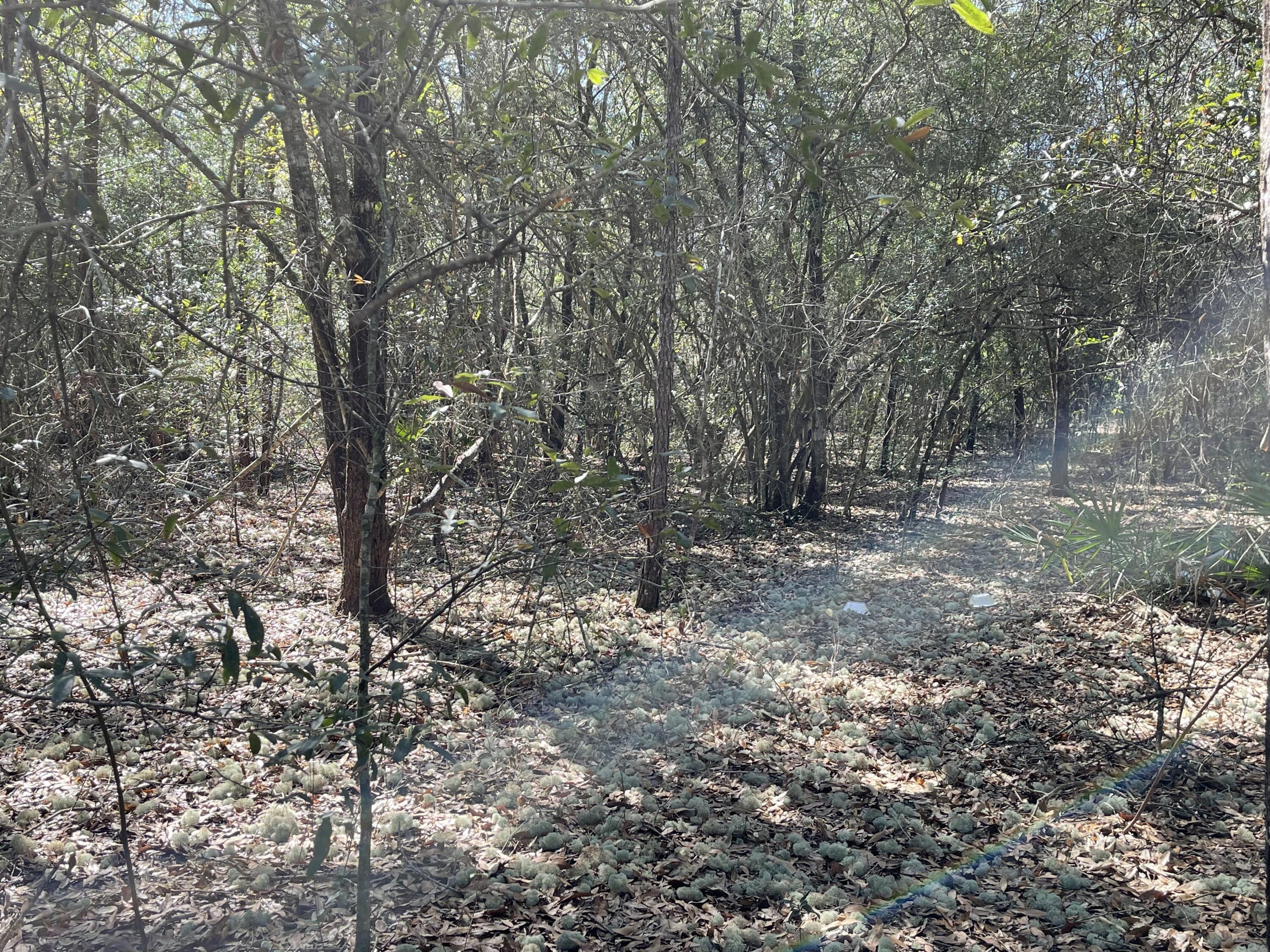 OAKWOOD HILLS UNIT III - Land