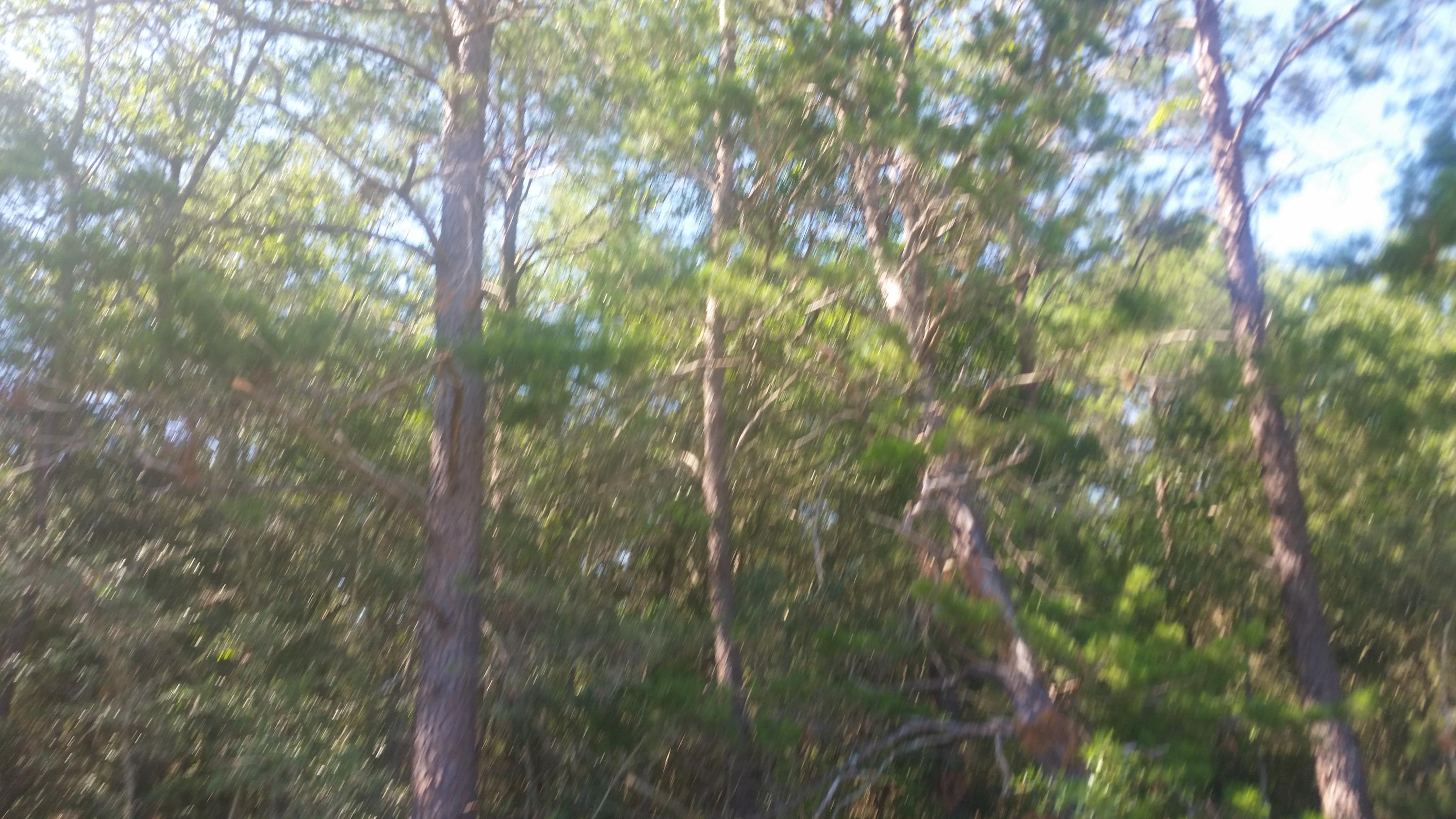 OAKWOOD HILLS UNIT 5 - Land