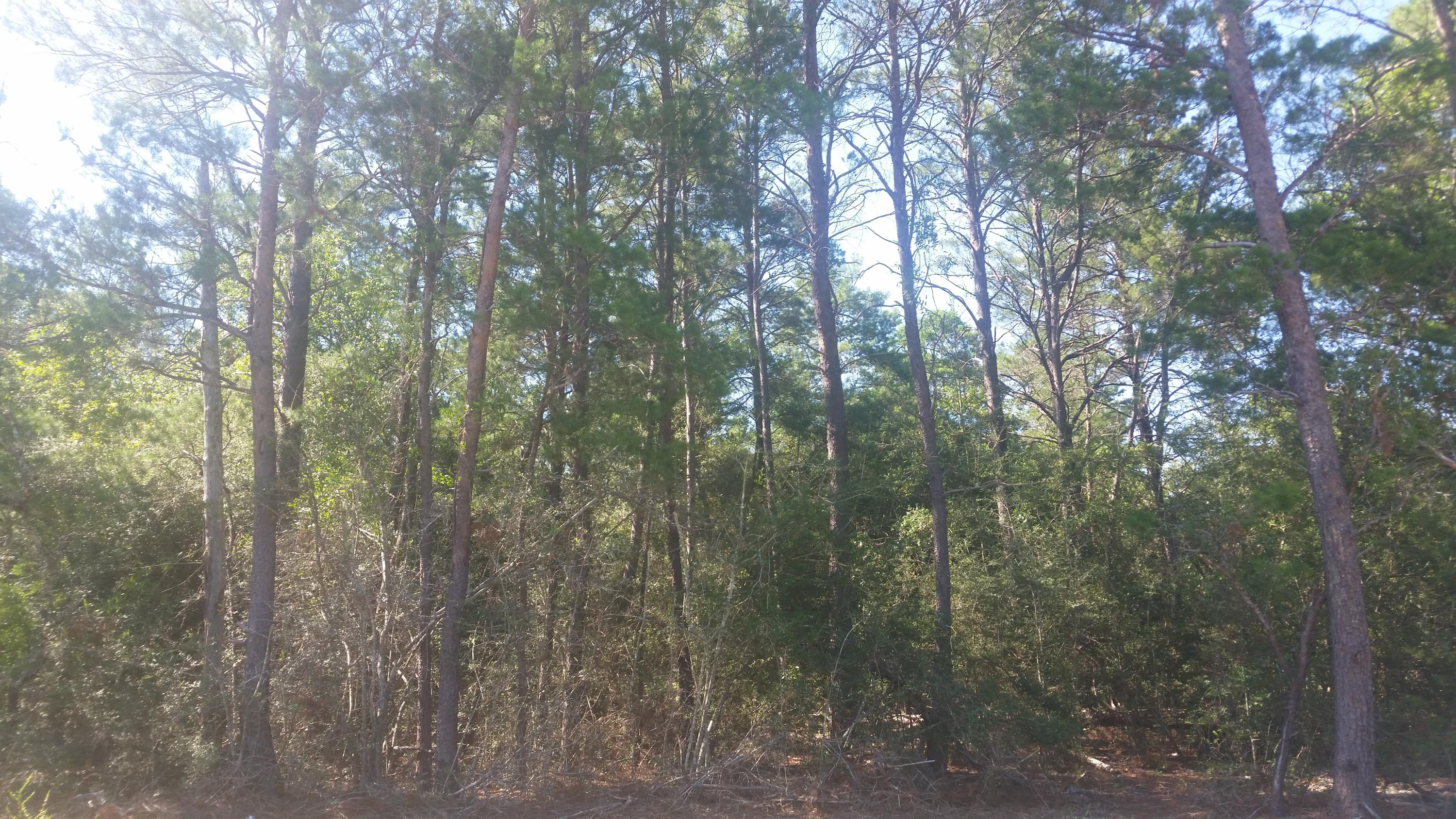 OAKWOOD HILLS UNIT 5 - Land