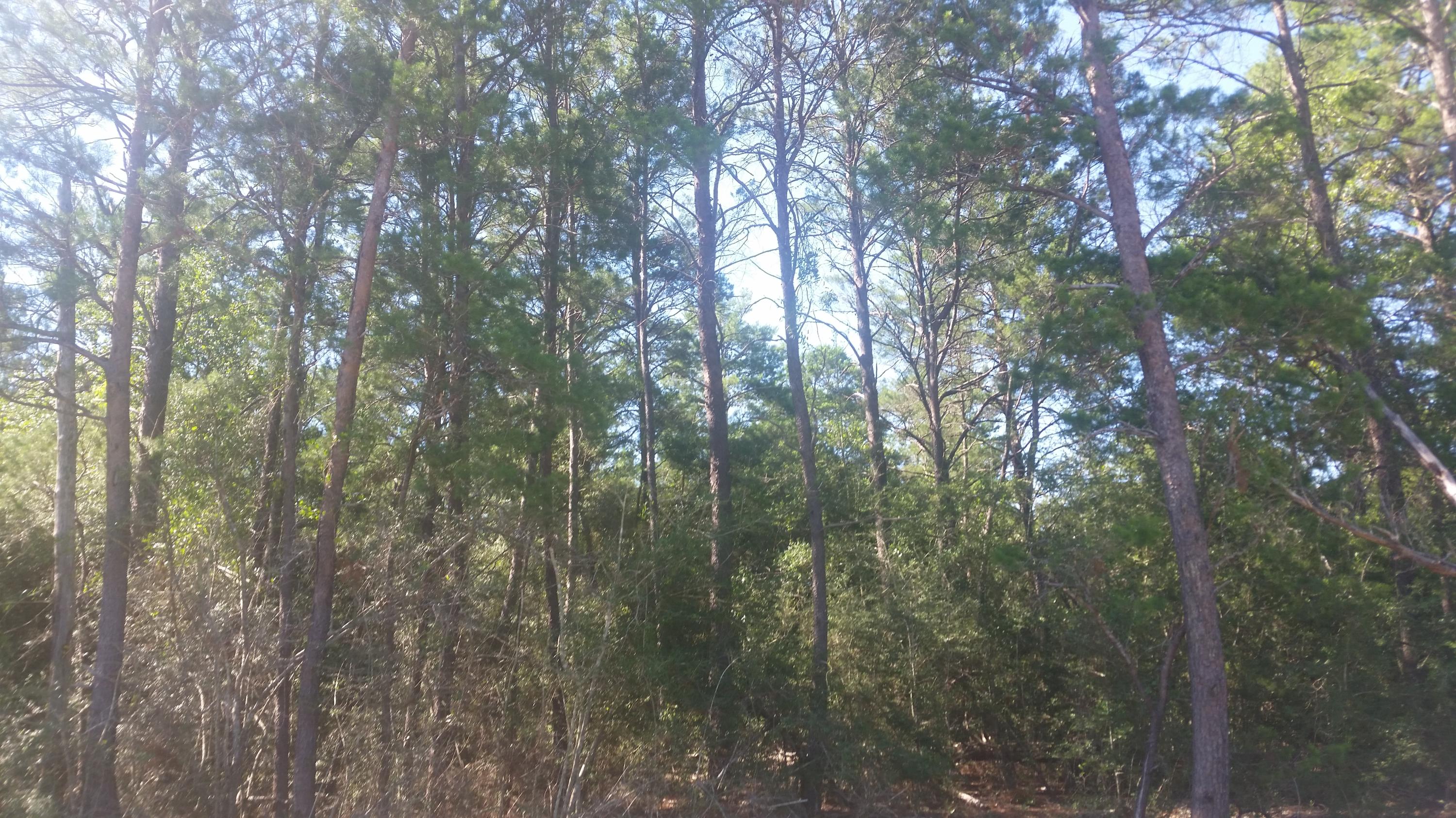 OAKWOOD HILLS UNIT 5 - Land