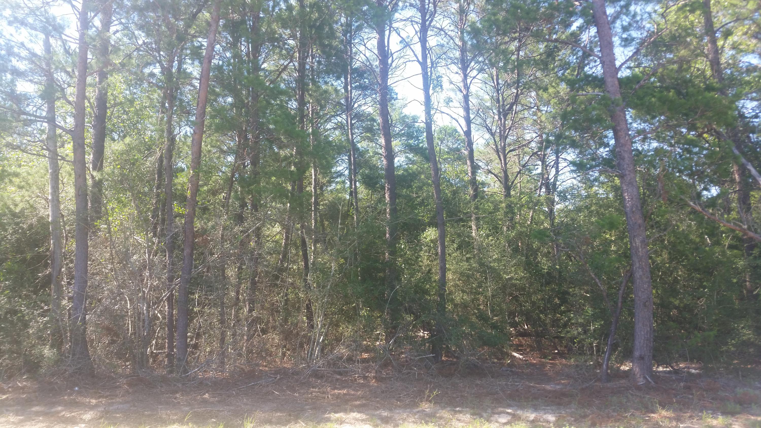 OAKWOOD HILLS UNIT 5 - Land