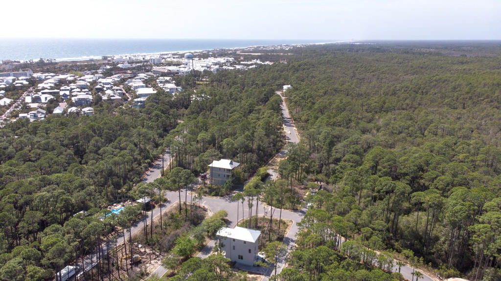 Treetop at Seacrest Beach - Residential