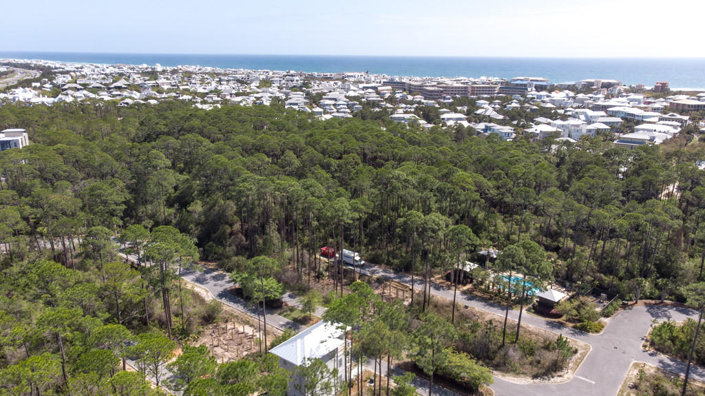 Treetop at Seacrest Beach - Residential