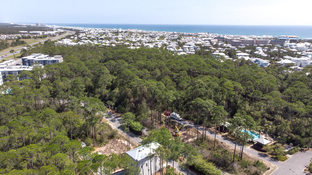Treetop at Seacrest Beach - Residential