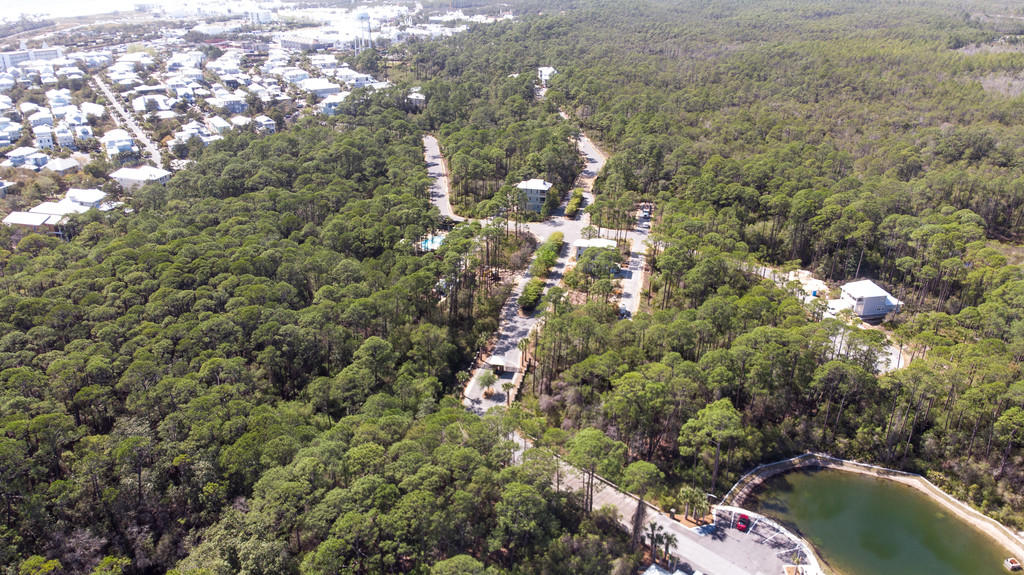 Treetop at Seacrest Beach - Residential