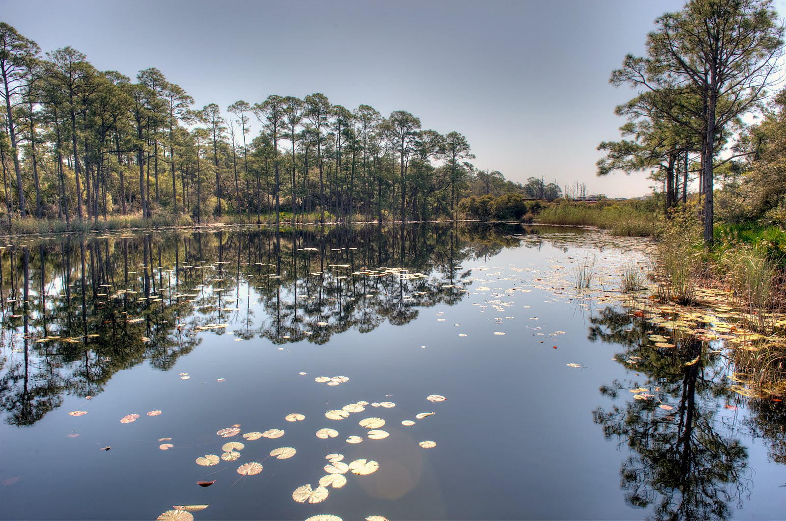 REDFISH VILLAGE - Residential